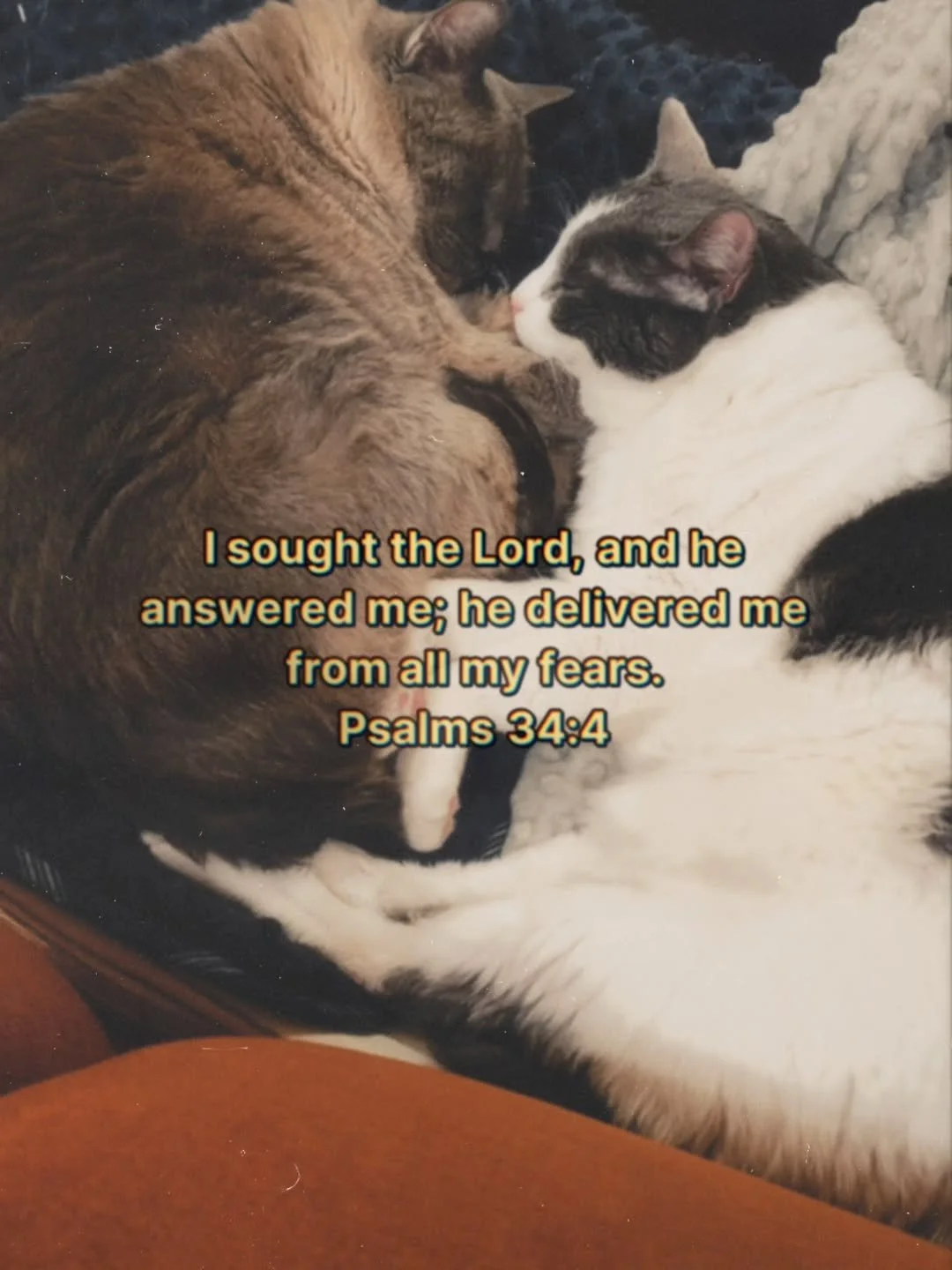 God hears you and answers you.