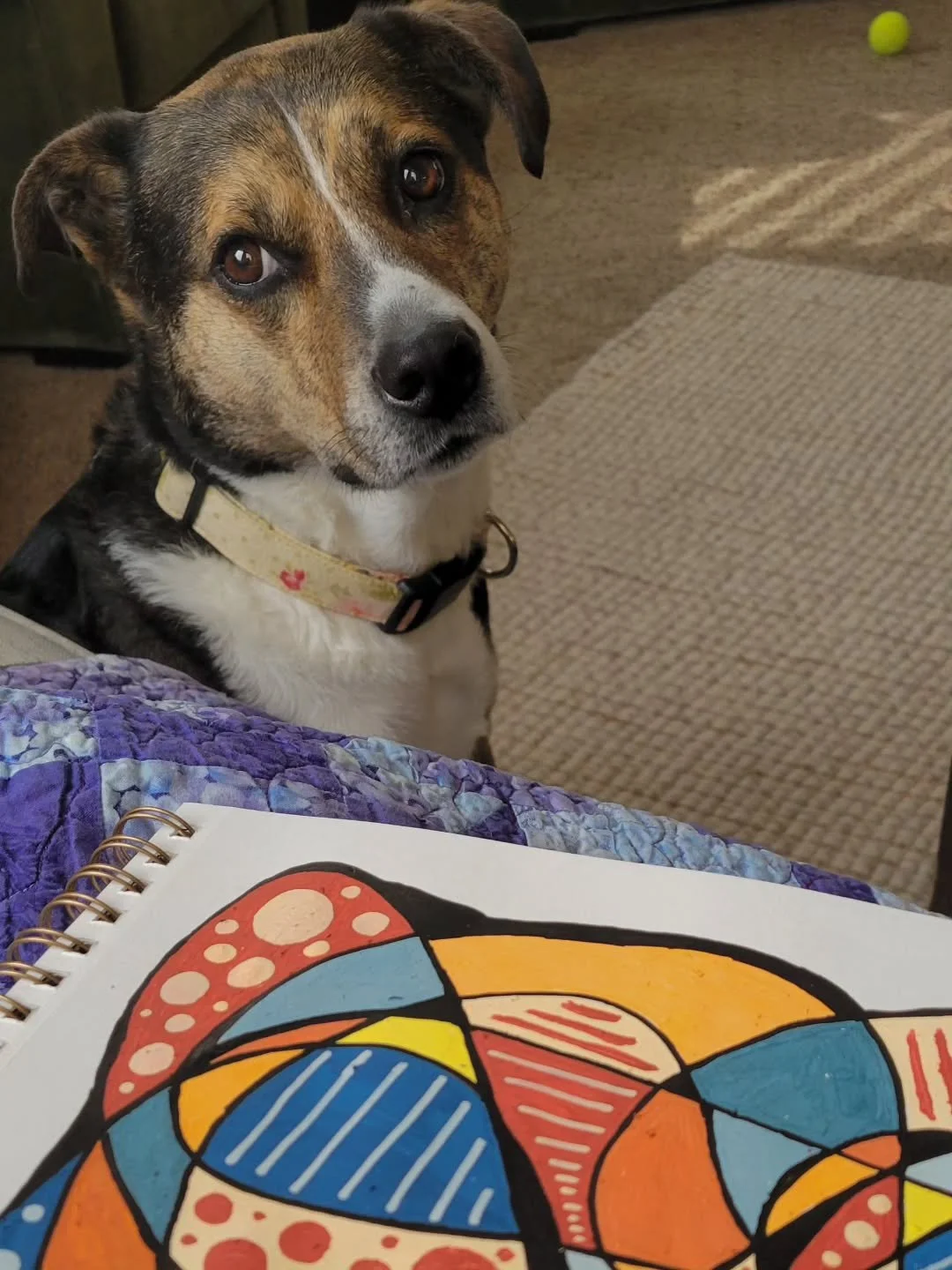 these are the days of...

- going slow
- saying yes without knowing why
- the calendar filled with pets
- living out of a suitcase
- mental health doodles 
- posting less
- reading more 
- walking for the joy of it
- shaving my head for the heck of i