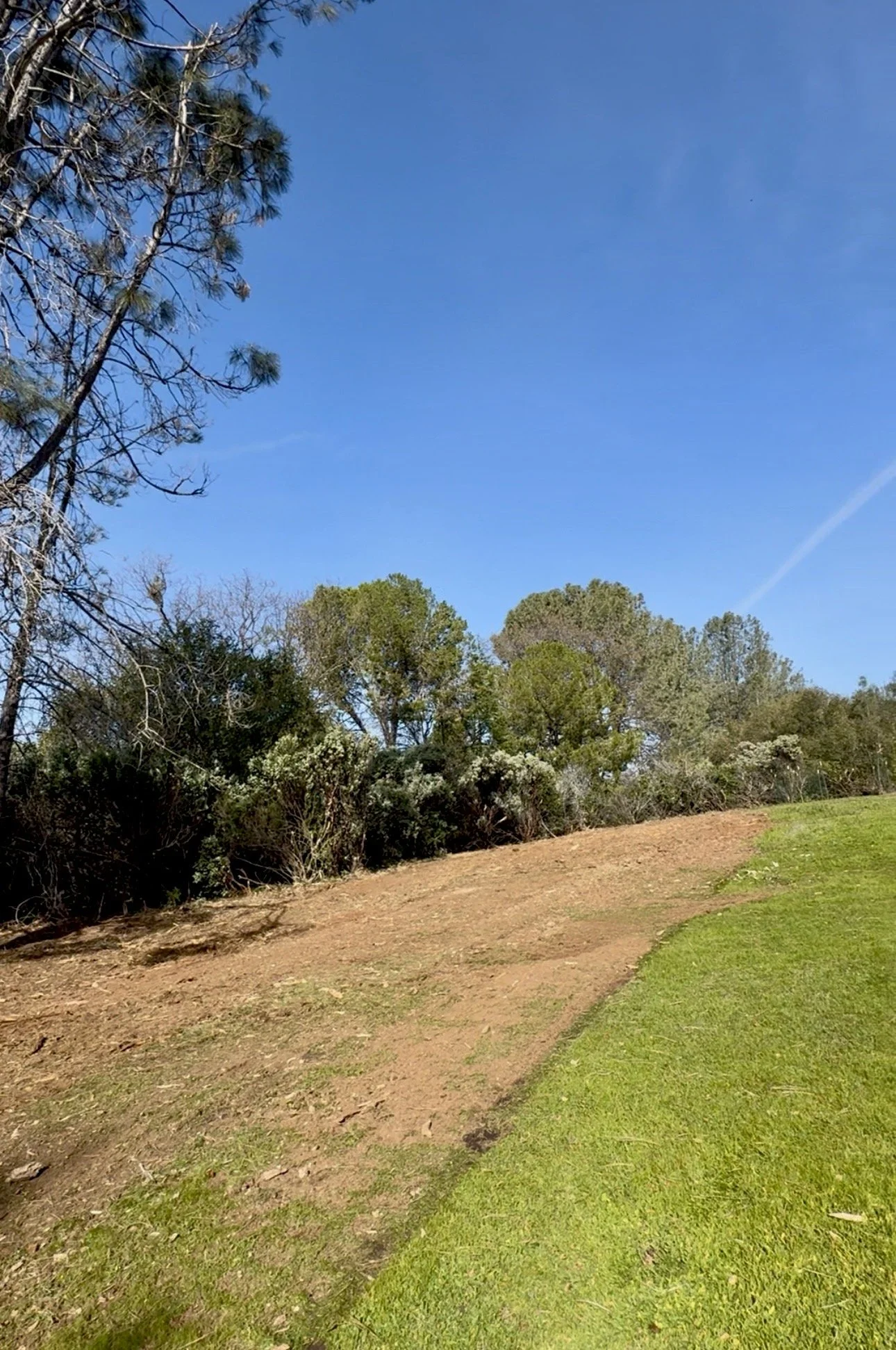 Property Line Clearing in Cameron Park California