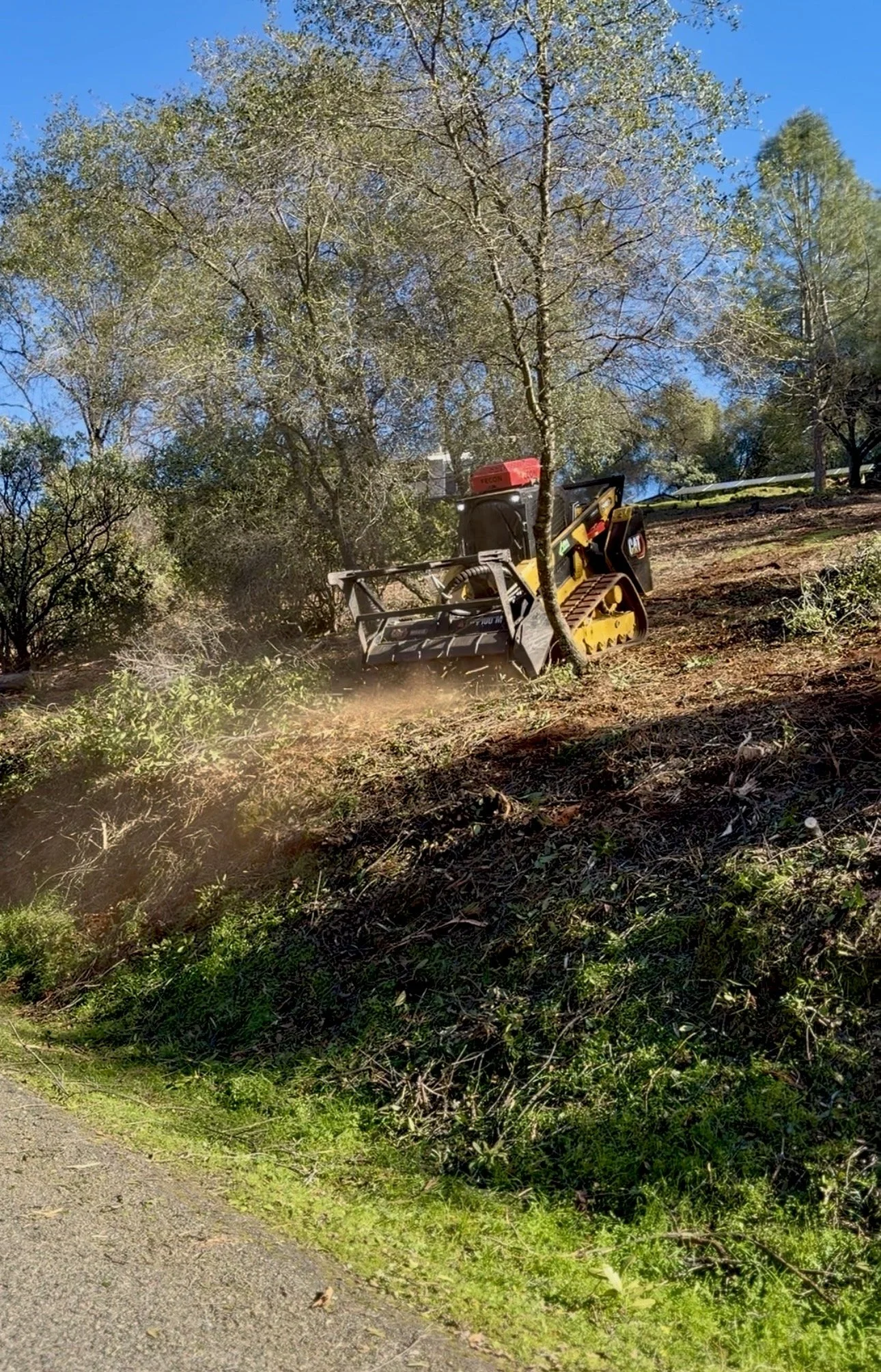 Hillside Property Brush Clearing in Shingle Springs California