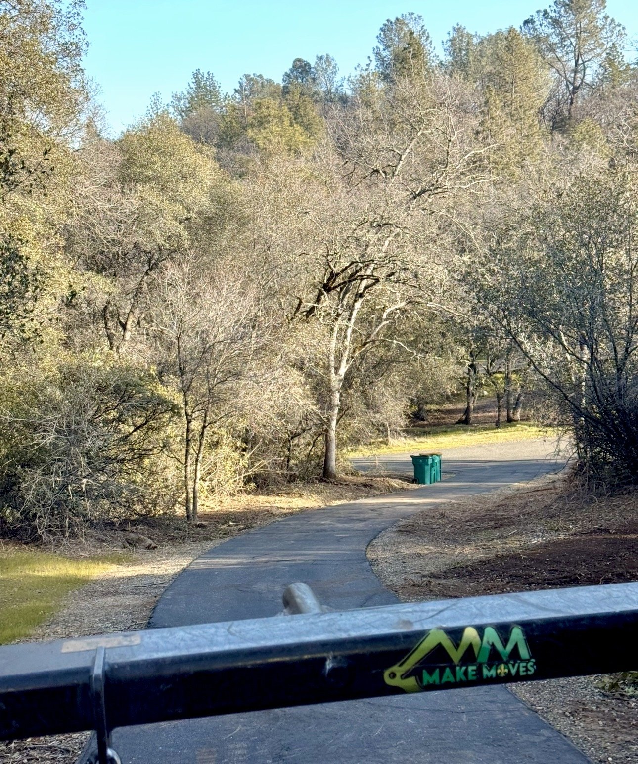 Driveway Brush and Tree Clearing
