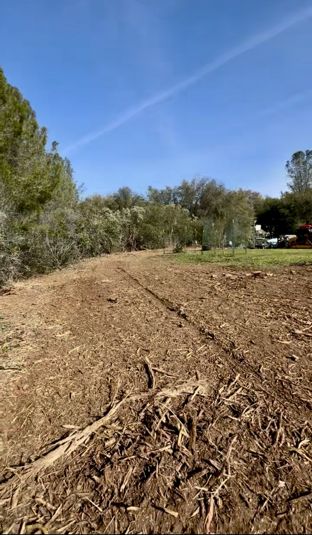 Fence Line Clearing in Cameron Park California