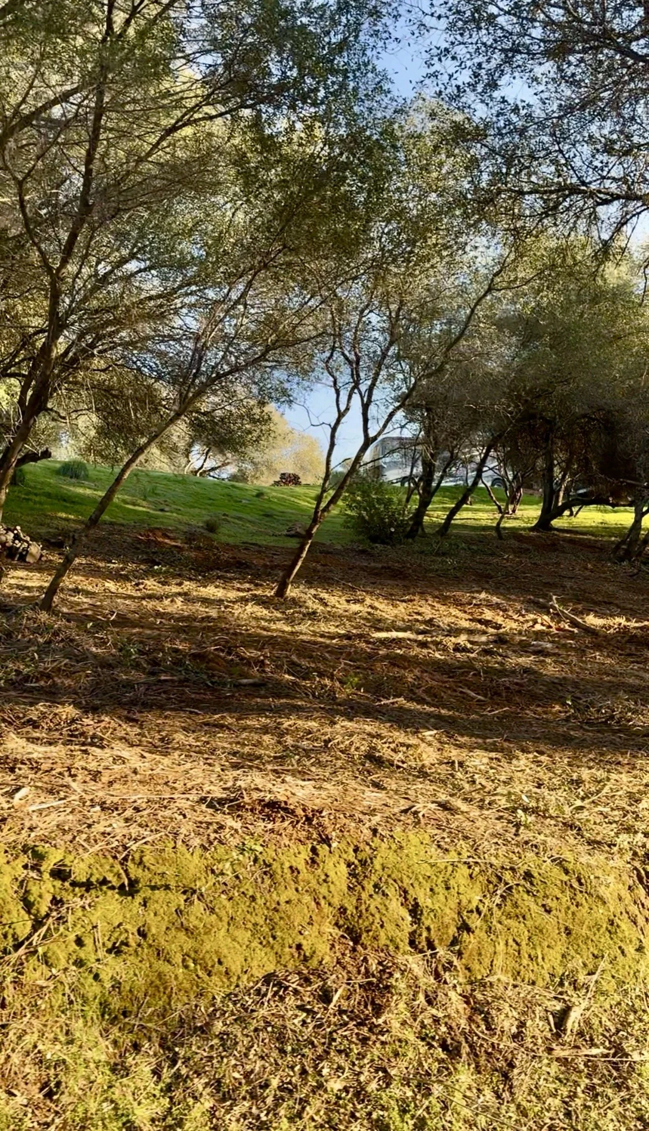 Brush Clearing Job Results in El Dorado County California