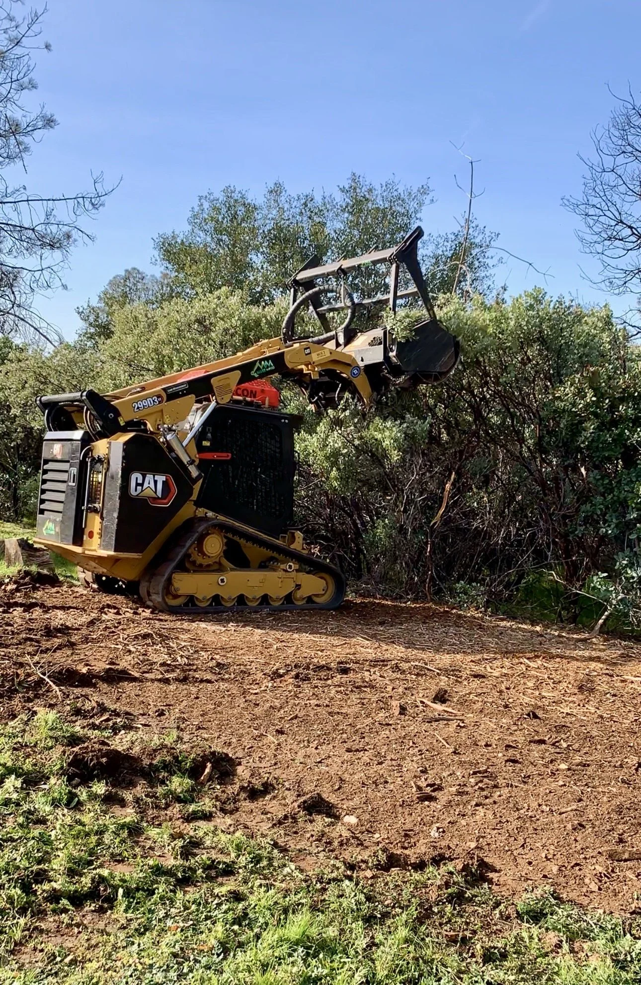 Fence line manzanita trimming in Cameron Park California