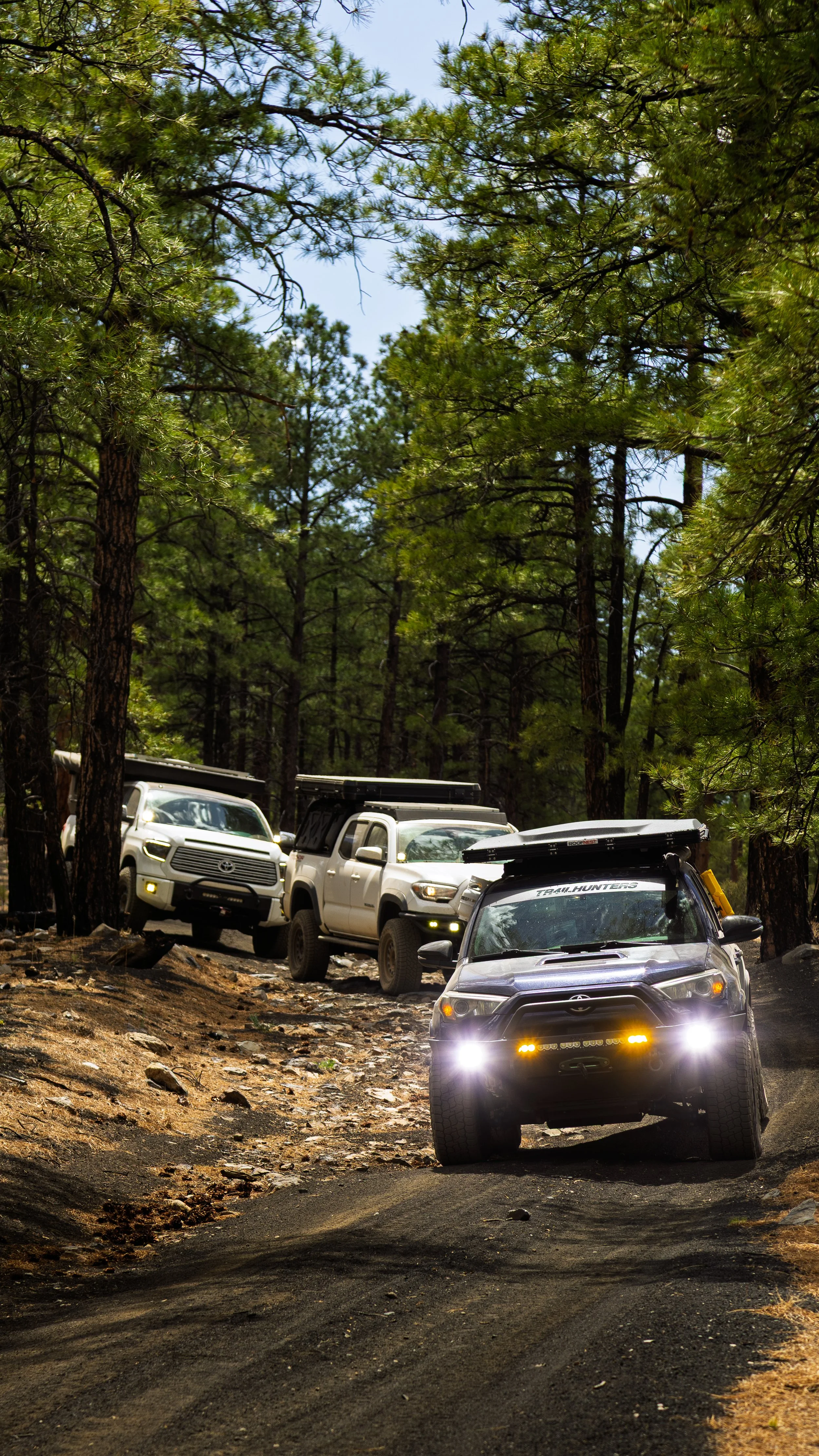 Three Toyota Tacoma trucks driving off-road on a forest trail surrounded by tall pine trees during an overlanding adventure.