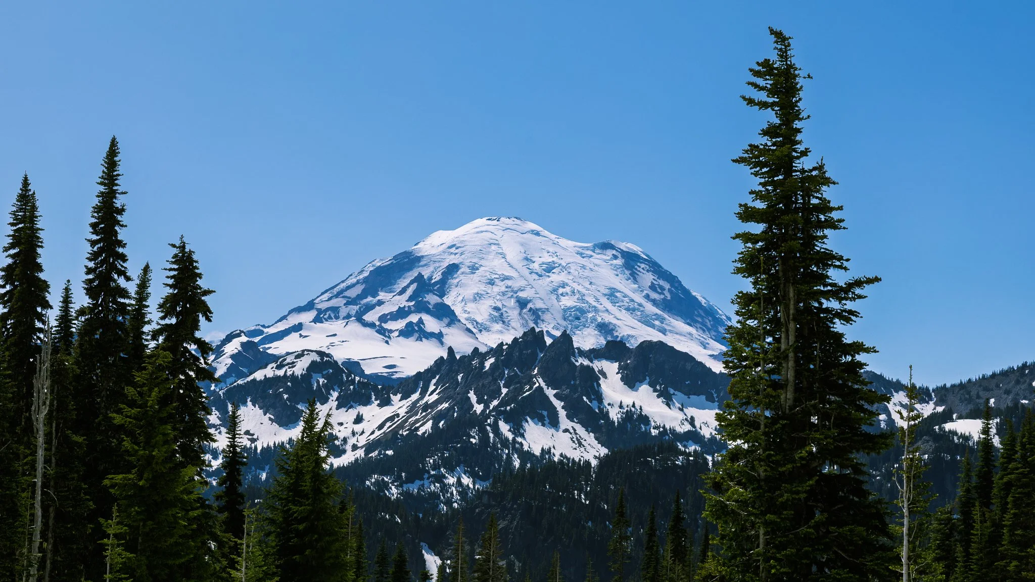 Snow-capped mountain with evergreen forest in foreground and clear blue sky.