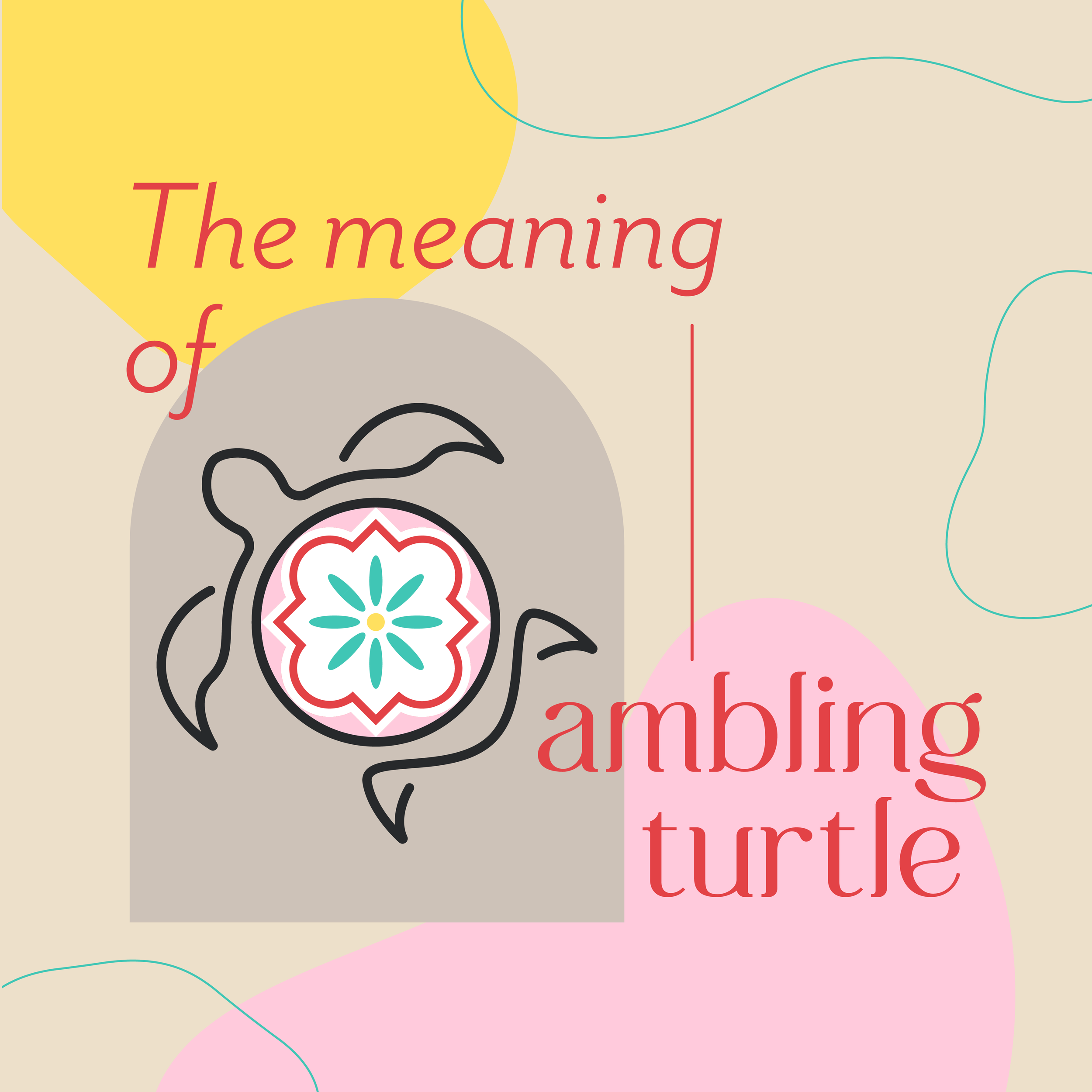 Final IG Posts_Ambling Turtle.png