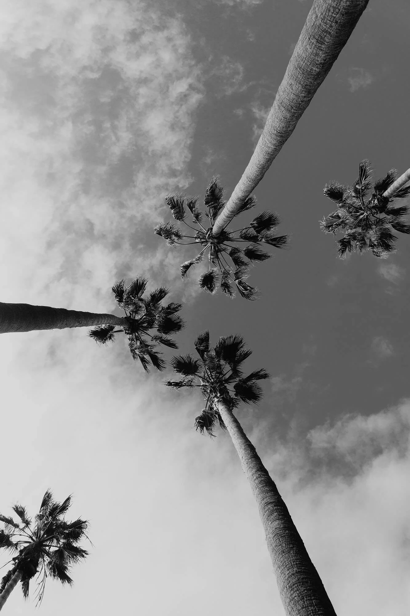 about-banner-bg.jpg