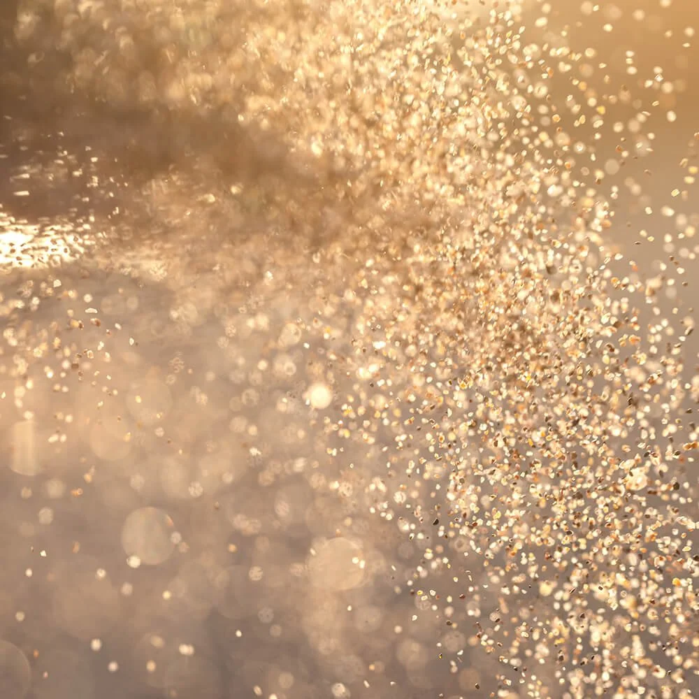 "Working with Michela I have seen enormous positive change in my professional and personal life."