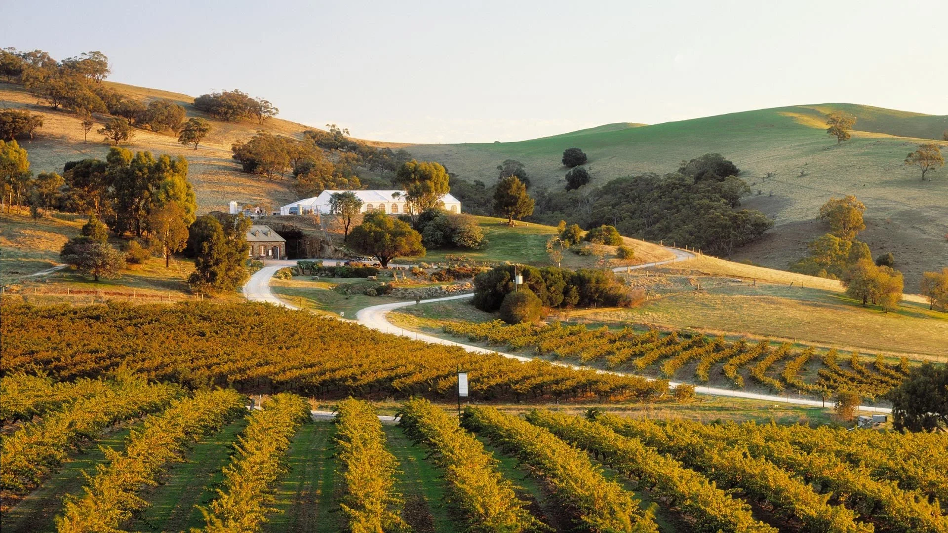 Barossa Weekend of Music // ASQ