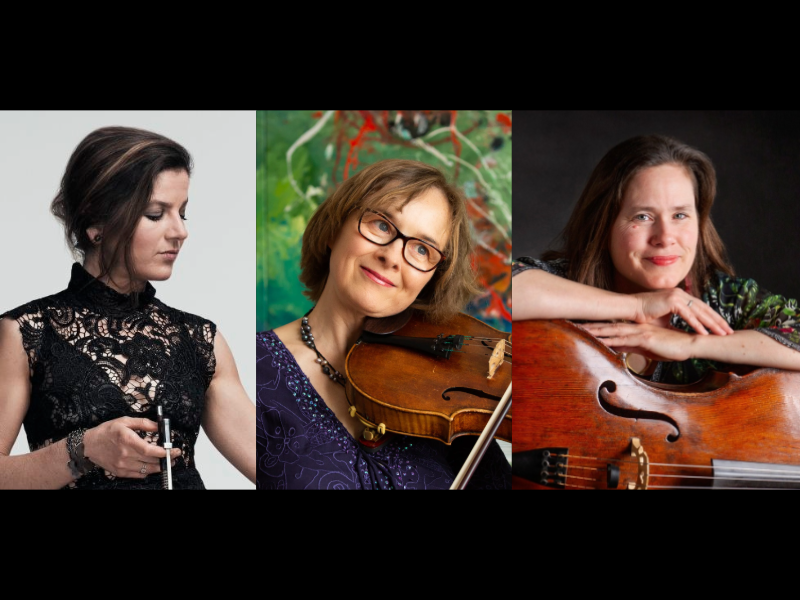 Evolution // Elder Lunchtimes