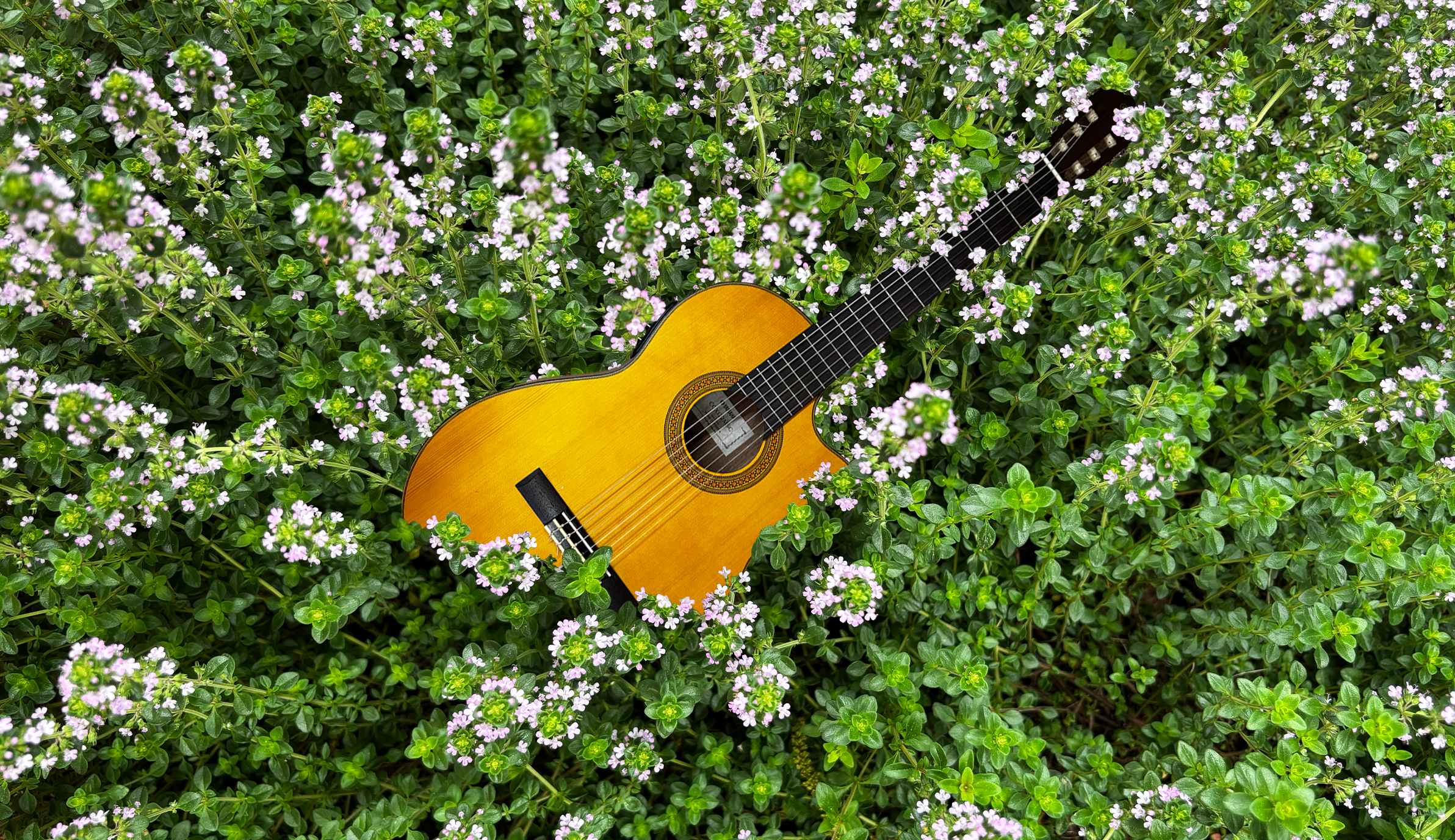 Recitals Australia // Songs for Voice and Classical Guitar