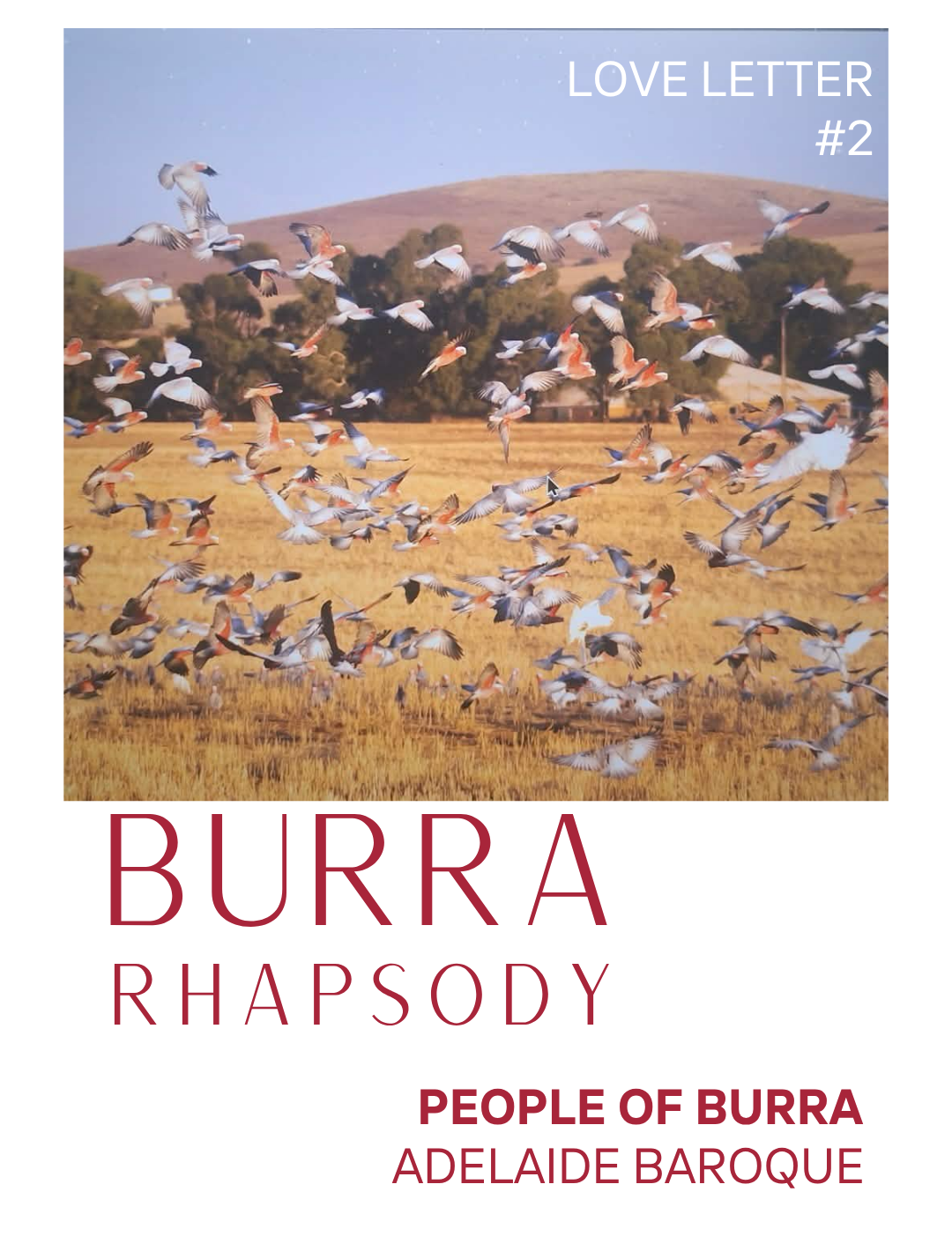 A flock of pink galahs scatter across a paddock of stubble. Green trees and buildings are visible against the bare hill in the background. The title "Burra Rhapsody" is printed below, with text reading "People of Burra, Adelaide Baroque."