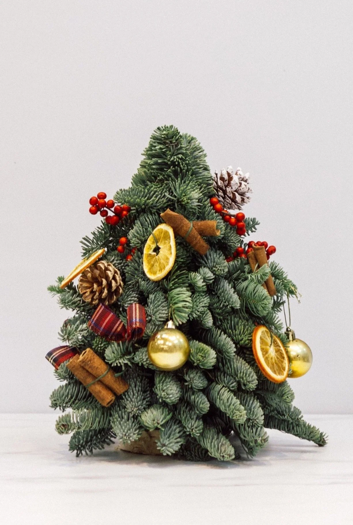 Fresh Miniature Christmas Tree