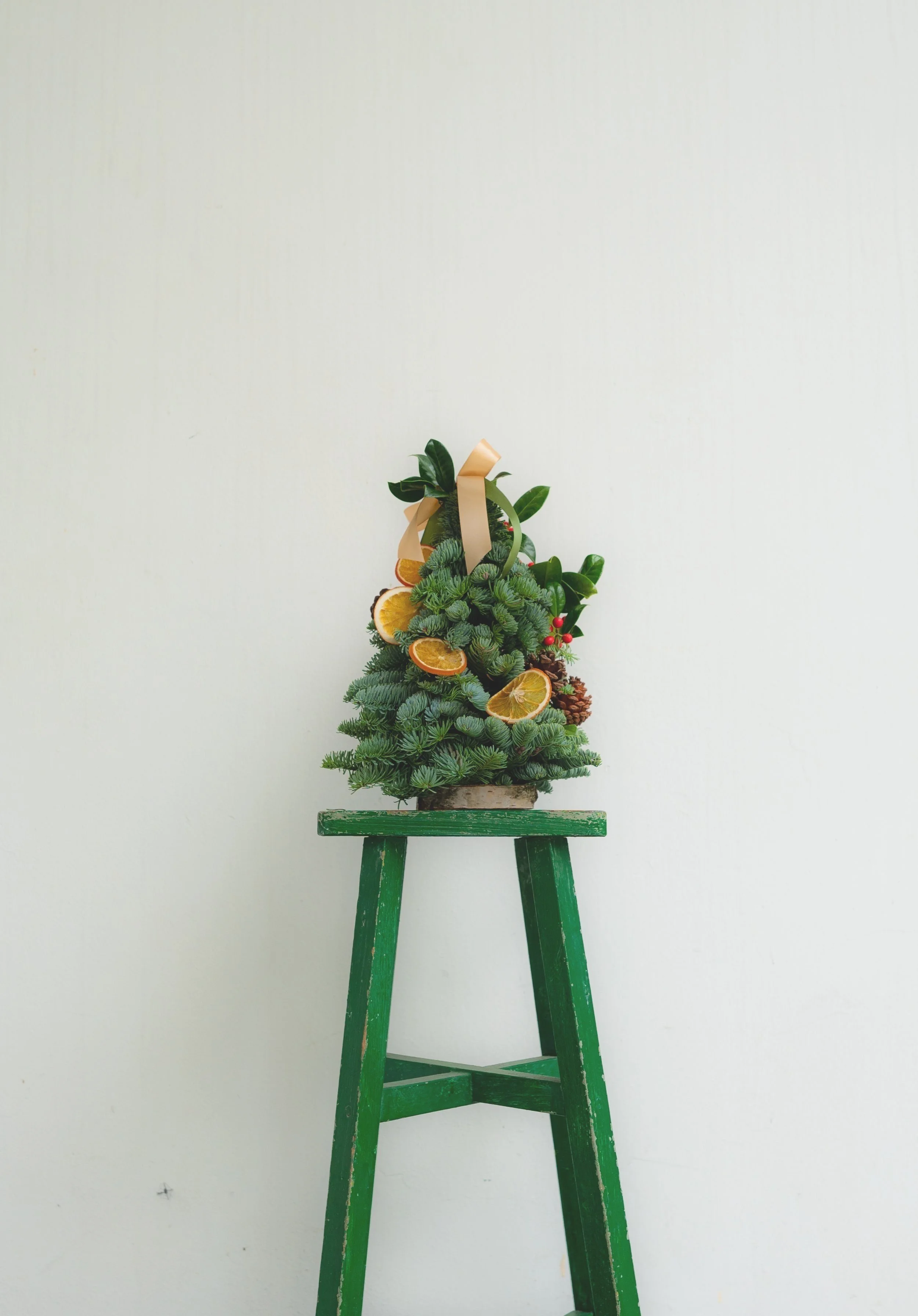 Fresh Mini Christmas Tree