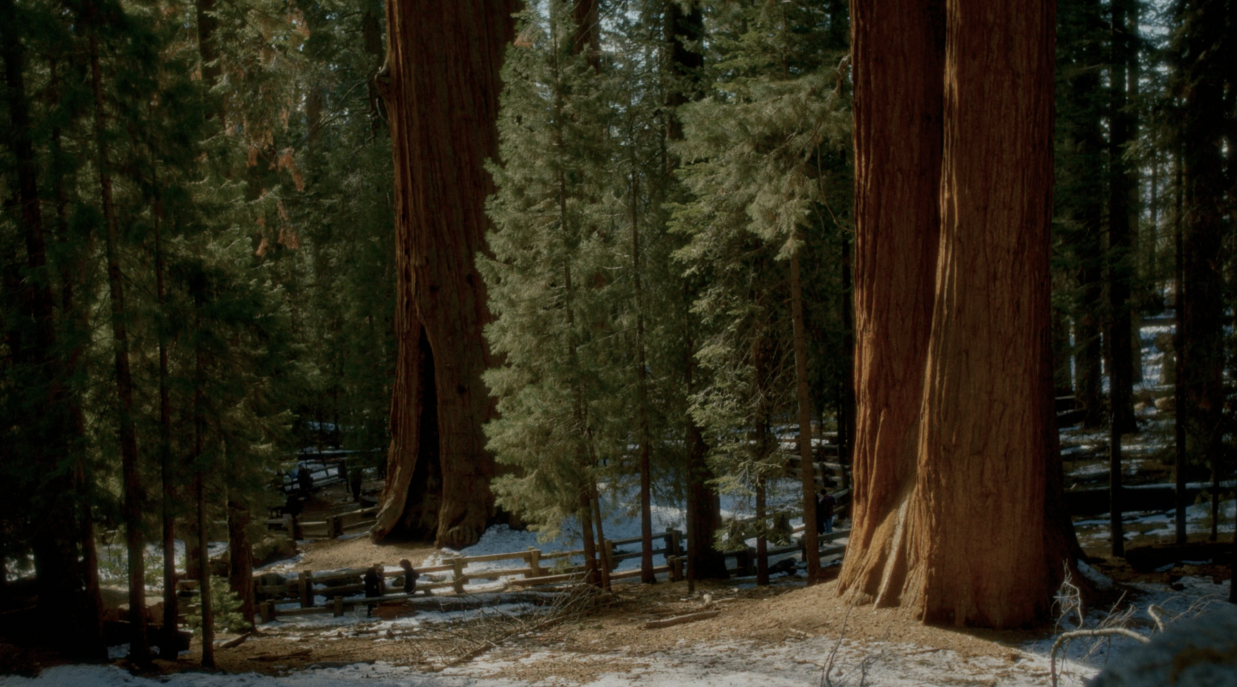 Screenshot 2026-04-06 at 8.33.20 AM.png