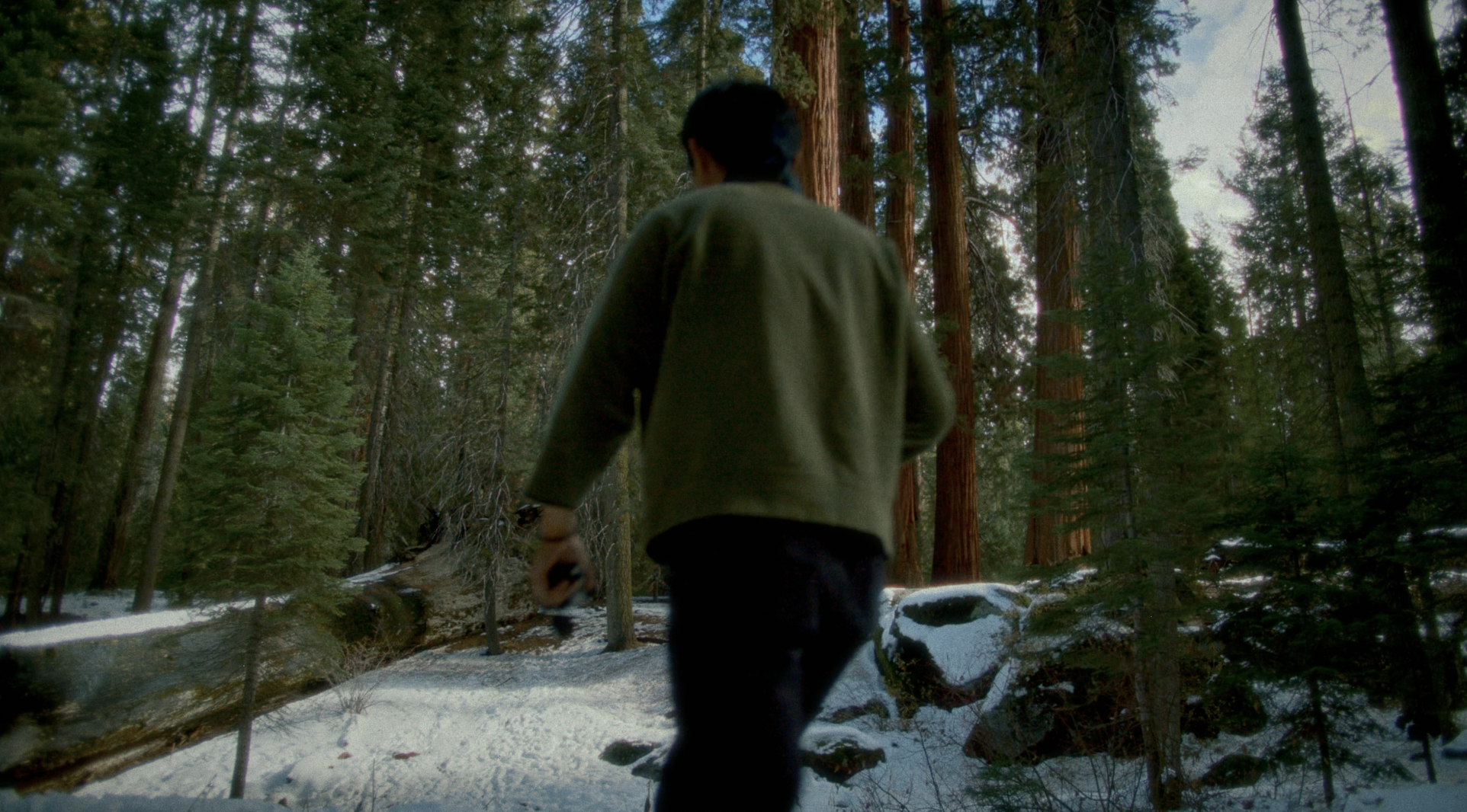 Screenshot 2026-04-06 at 8.38.14 AM.png