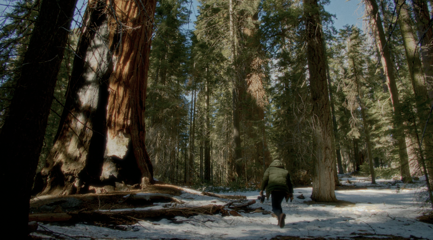 Screenshot 2026-04-06 at 8.32.31 AM.png