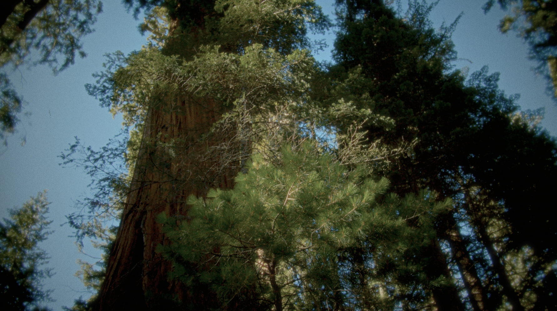 Screenshot 2026-04-06 at 8.33.00 AM.png