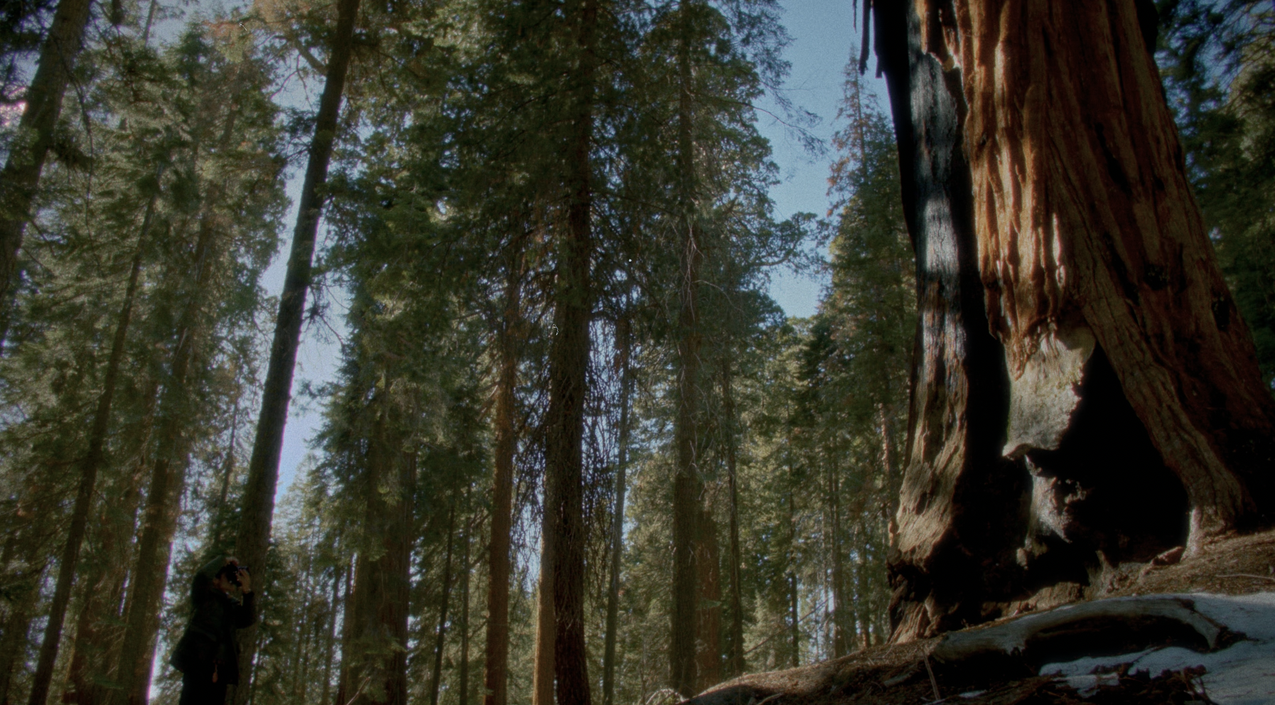 Screenshot 2026-04-06 at 8.32.47 AM.png