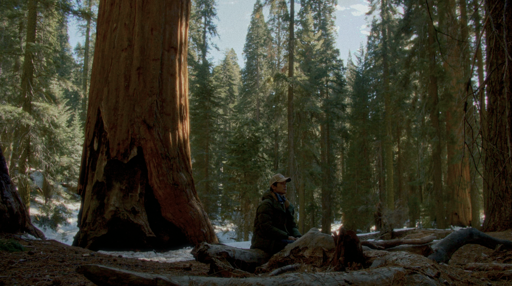 Screenshot 2026-04-06 at 8.33.45 AM.png