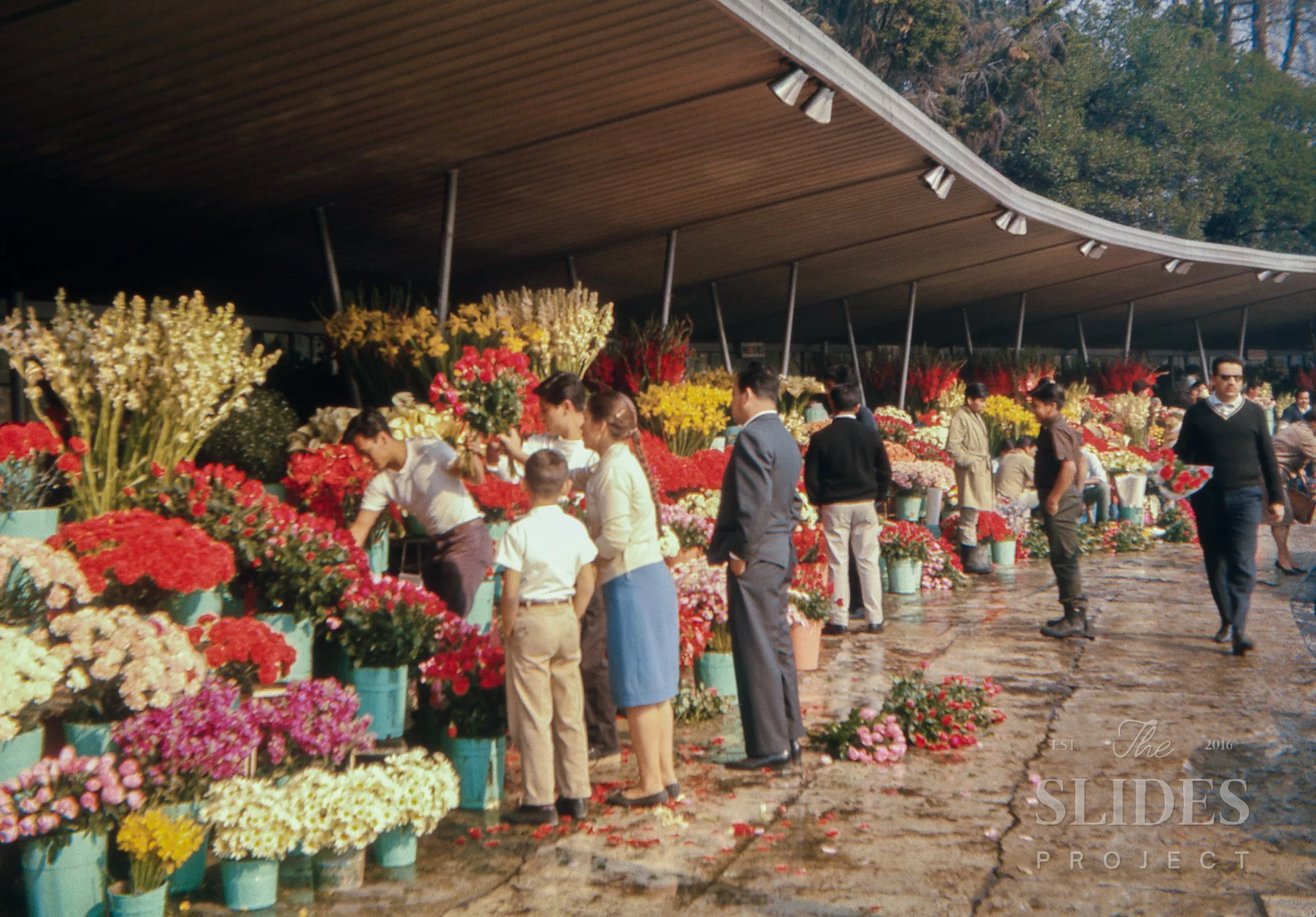 Mexico1966-Web-2.jpg