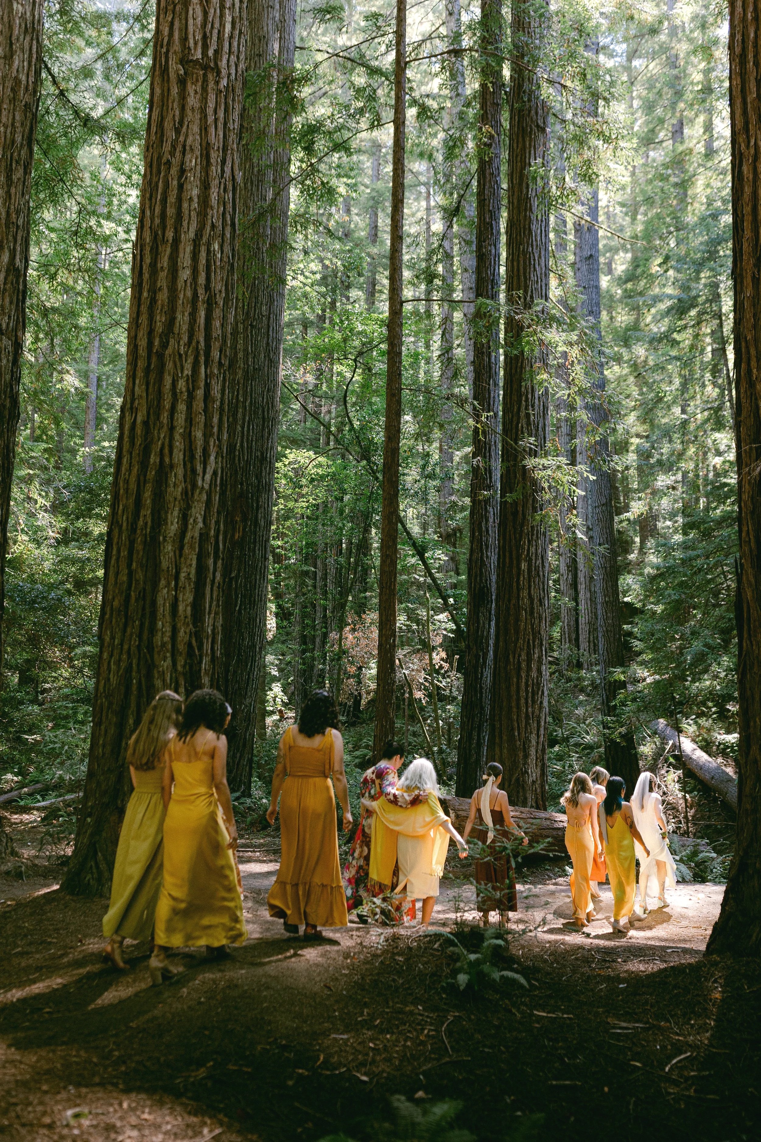 mendocino-wedding-A%2BB-pre-ceremony-Diana-Lake-Photography156.jpg