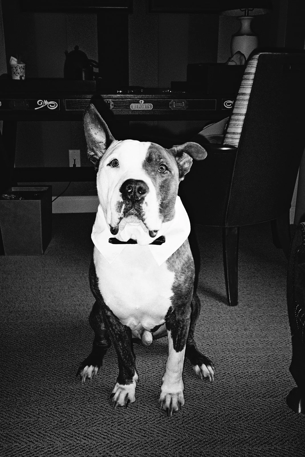FILM-Chesapeake-Bay-Wedding-P+L-Diana-Lake-Photography-157_websize.jpg