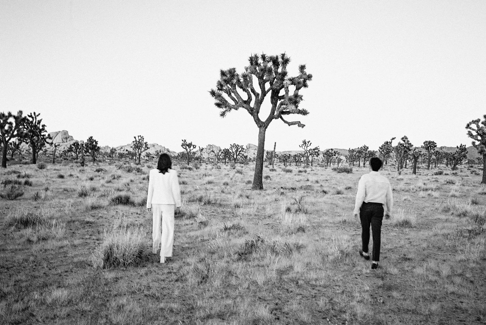 joshua-tree-engagement-E+J-film-Diana-Lake-Photography10.jpg