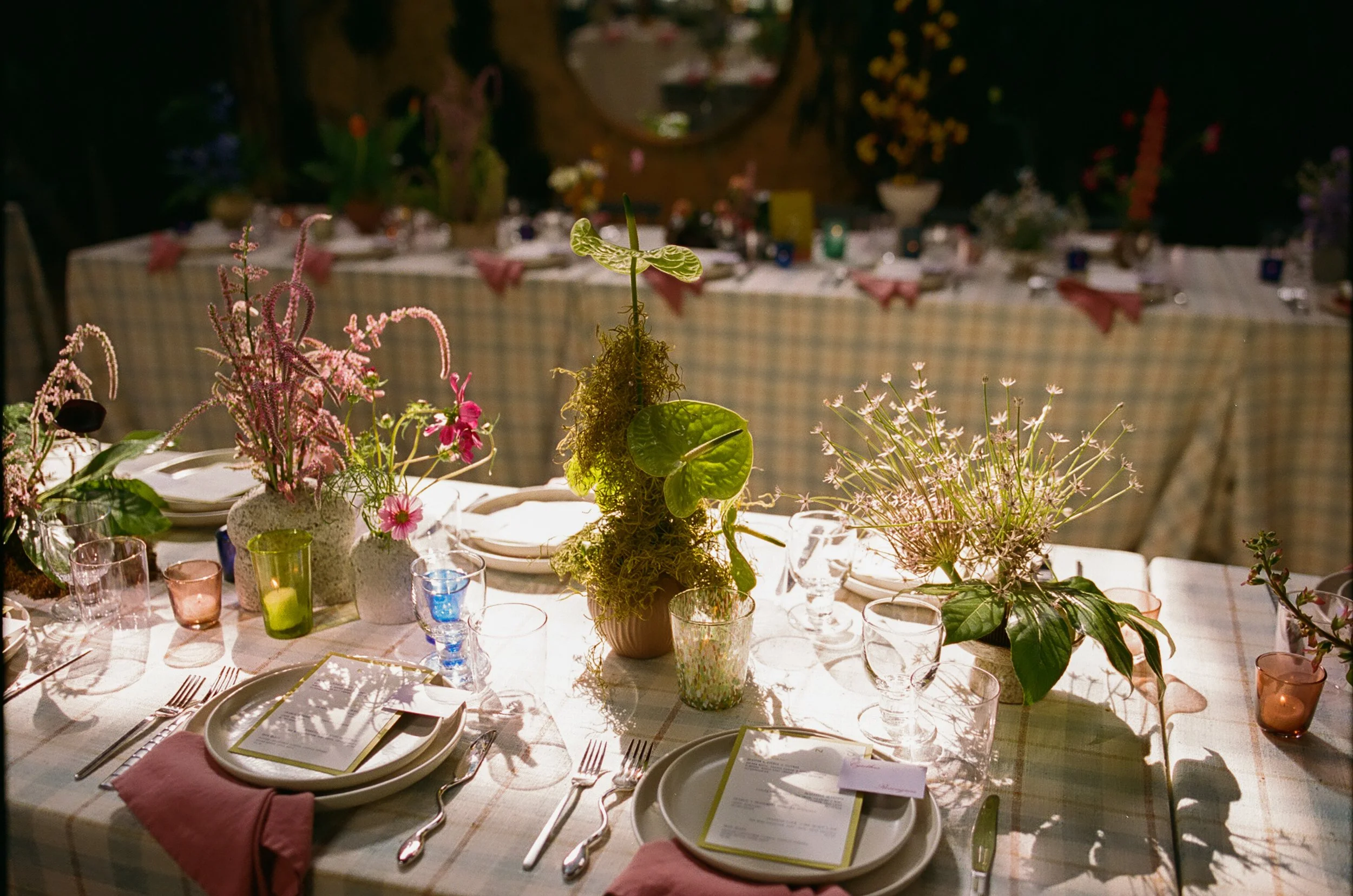 millwick-wedding-cocktail-hour-Diana-Lake-Photography3.jpg