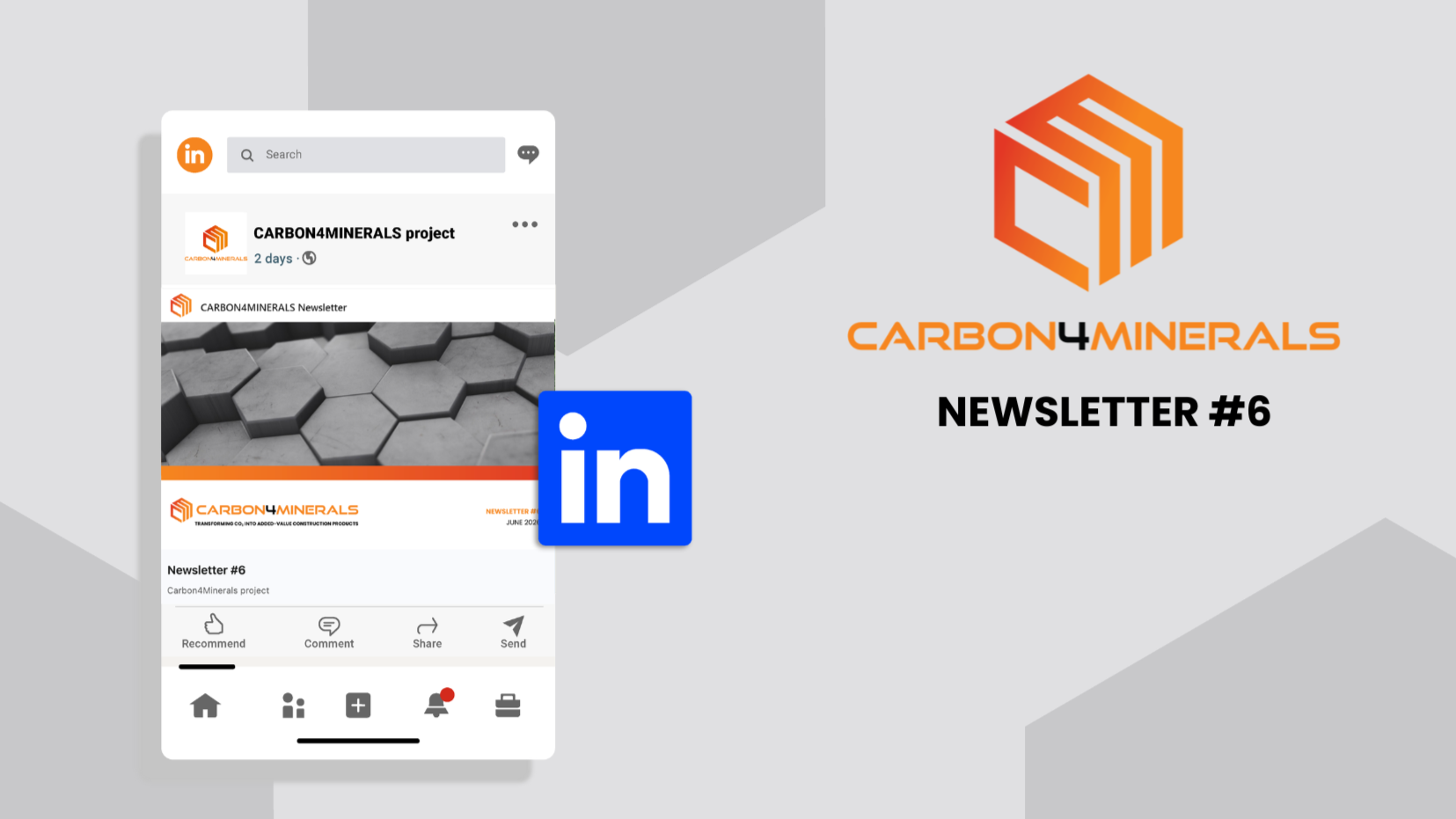 Newsletter #6