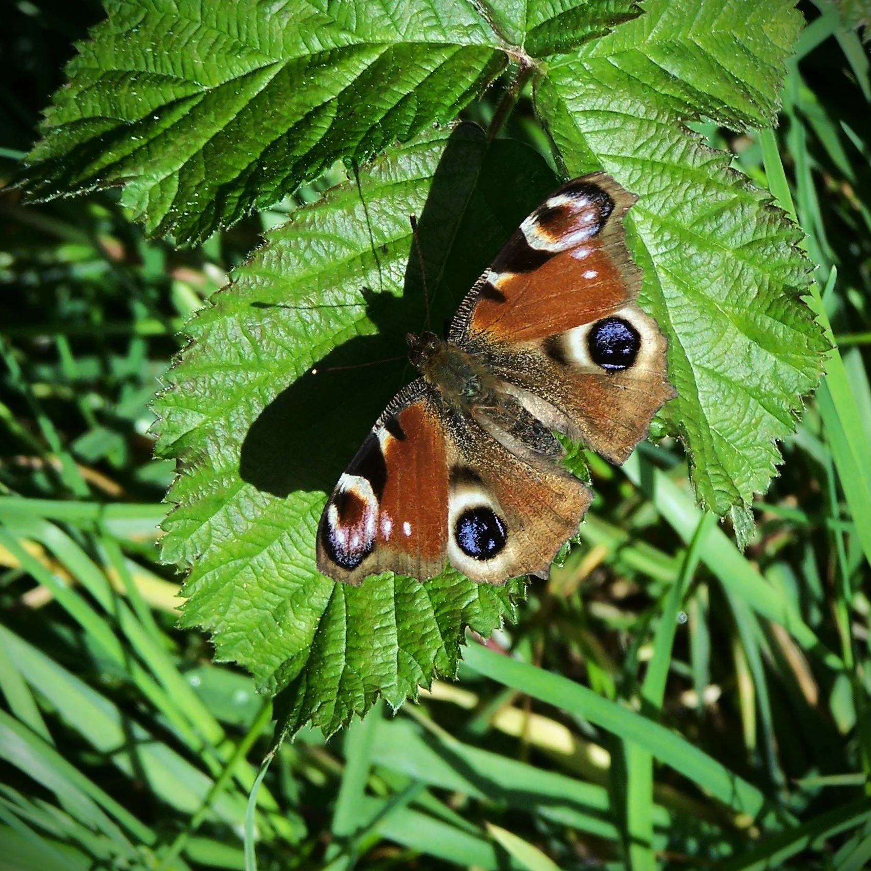 2024 04 25_0090_edited-1 ed.jpg