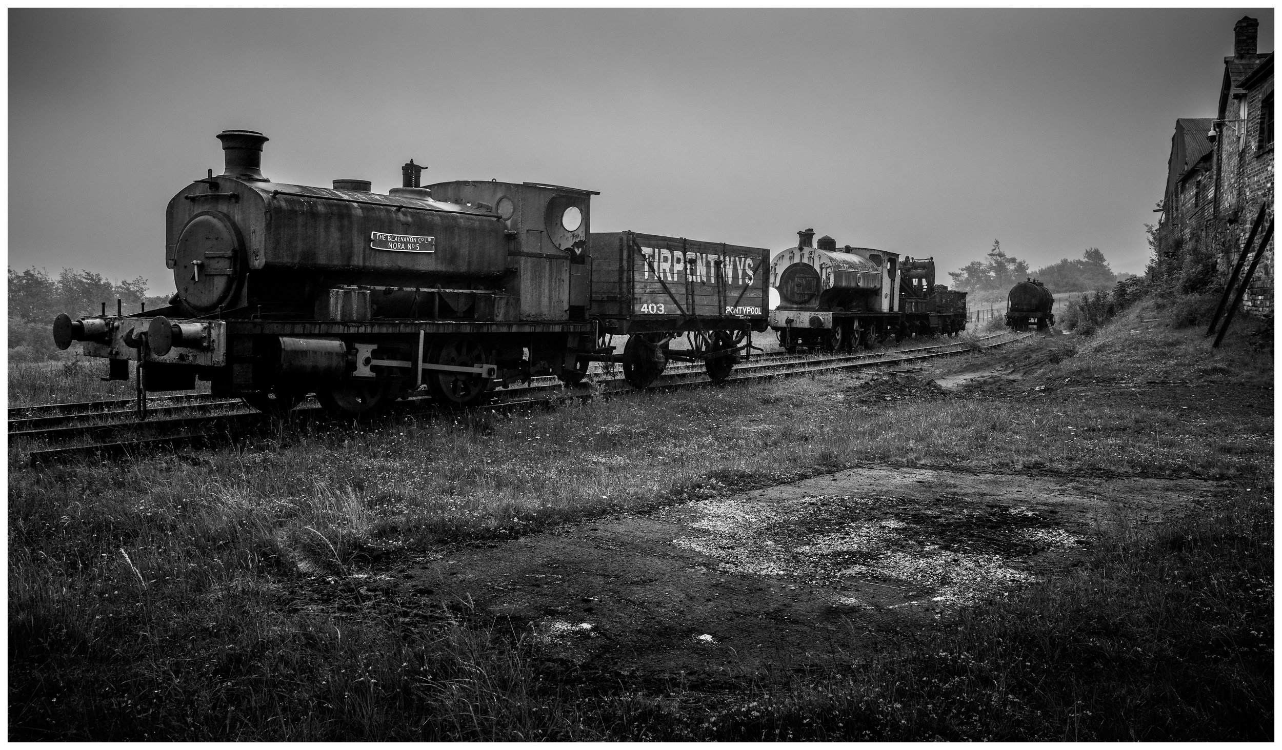 DT01.jpg