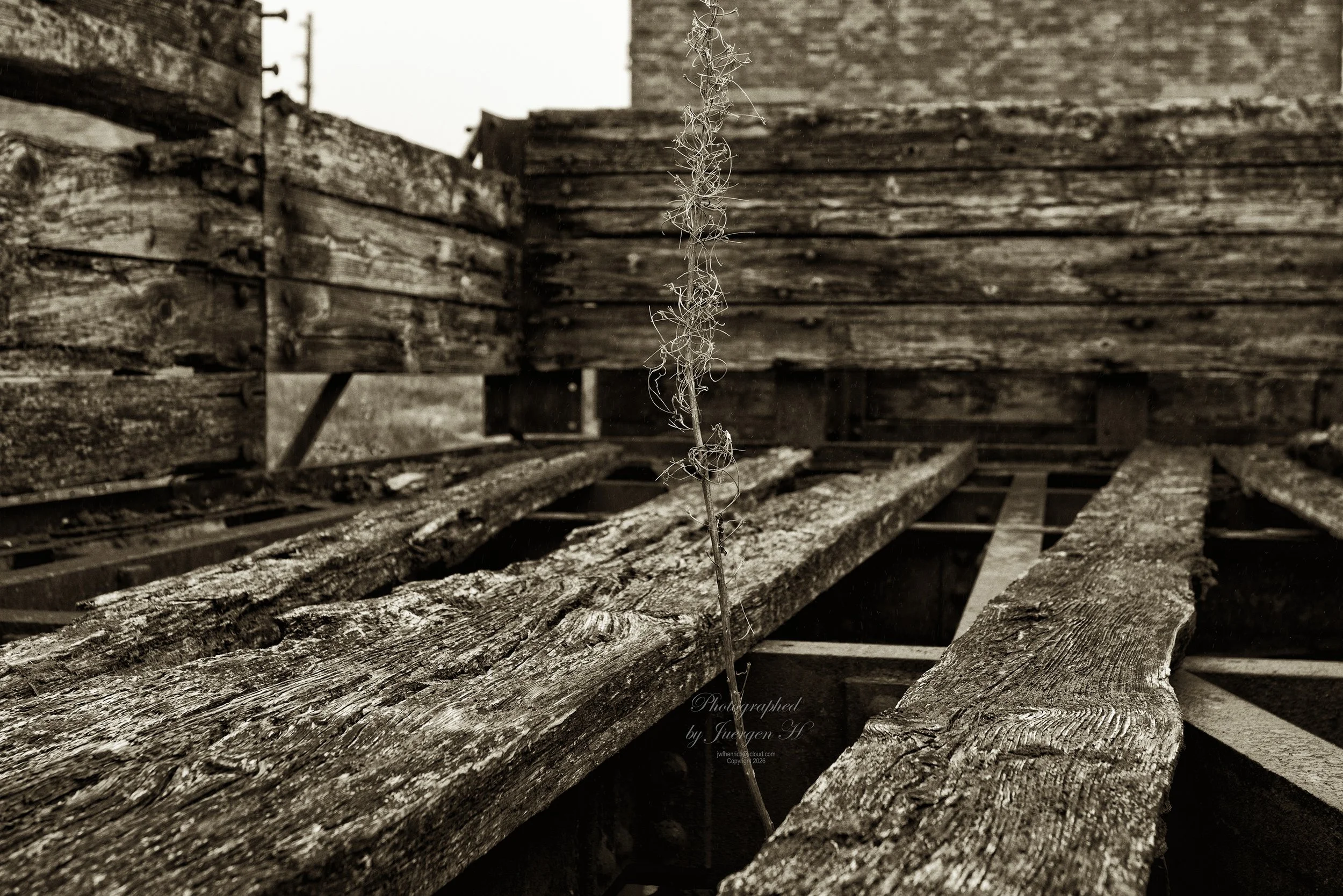 509A3480_2_BW___JWFH_01062026_ Big Pit_.JPG