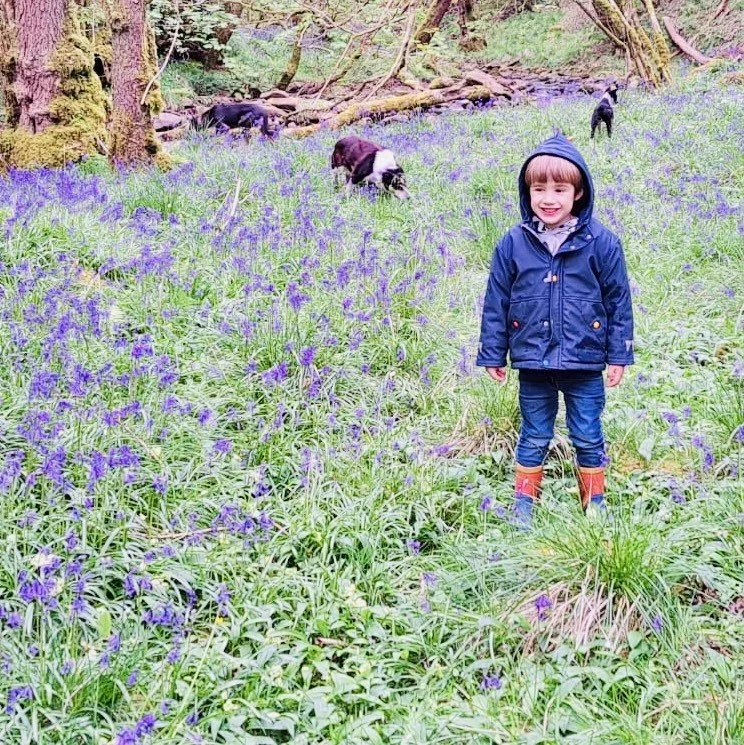 71bef17d-c26c-40e1-959e-3848706e0596 ed.jpeg