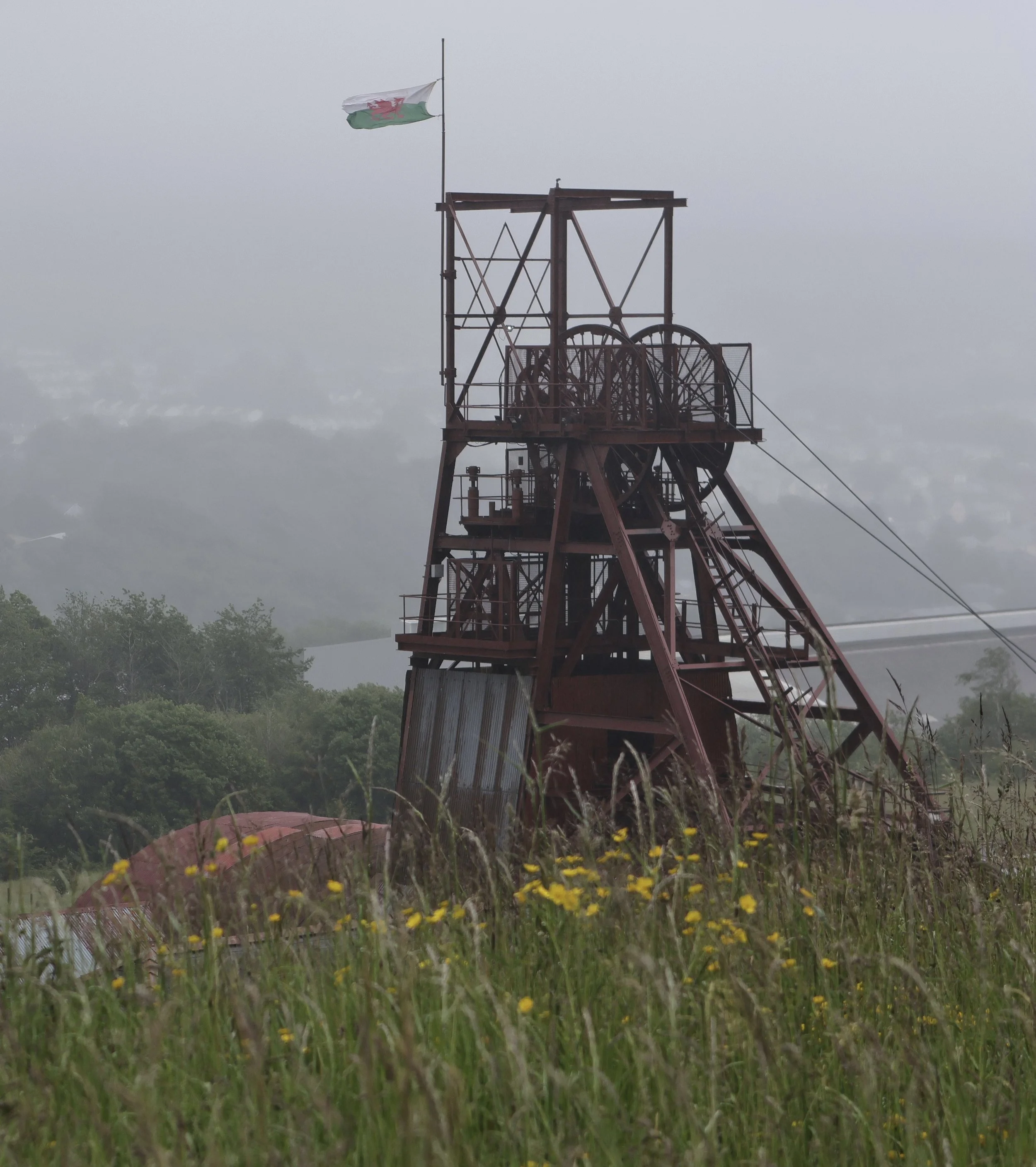 RWBP004.JPG