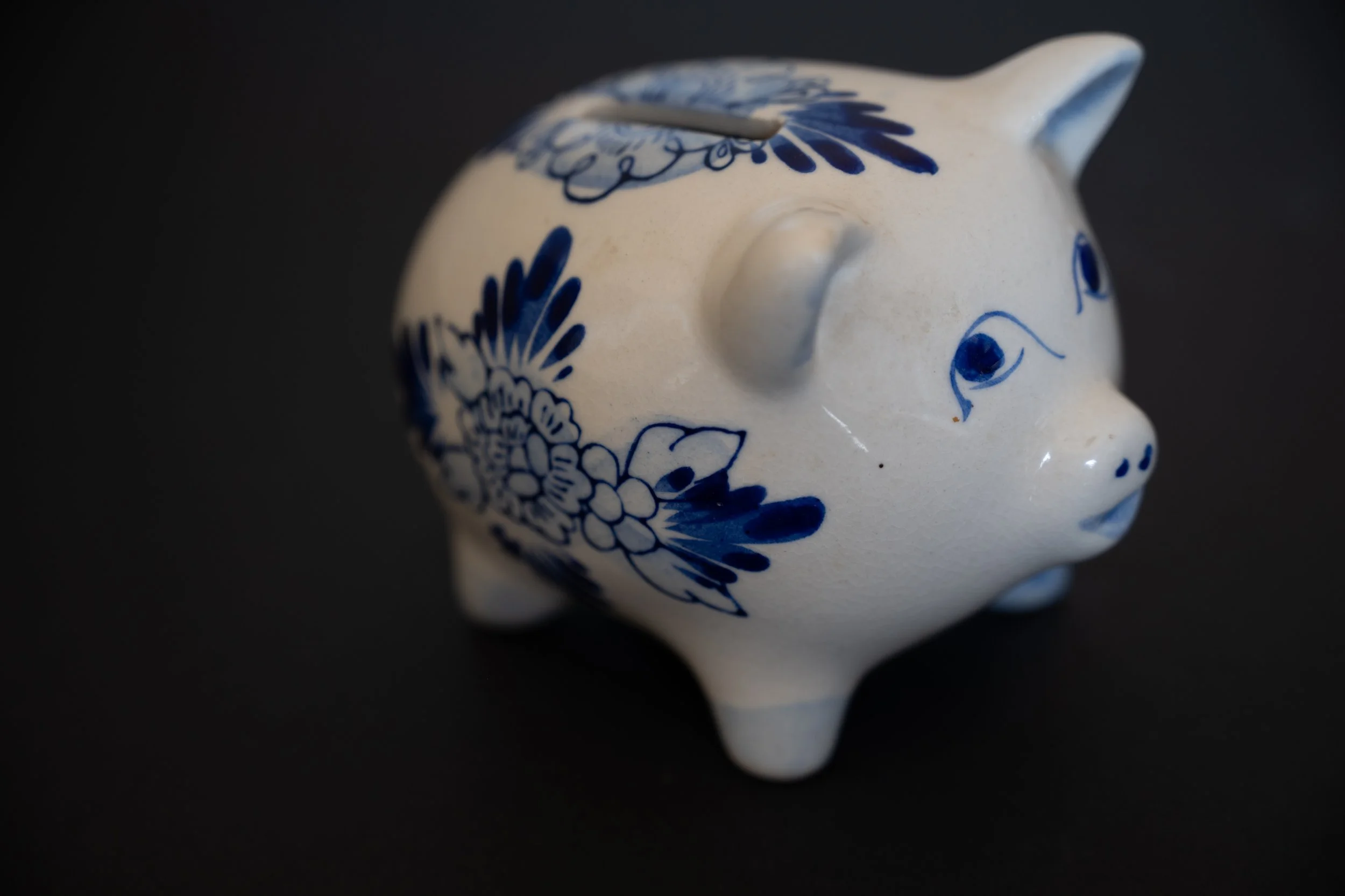DT Pig small DoF.jpg