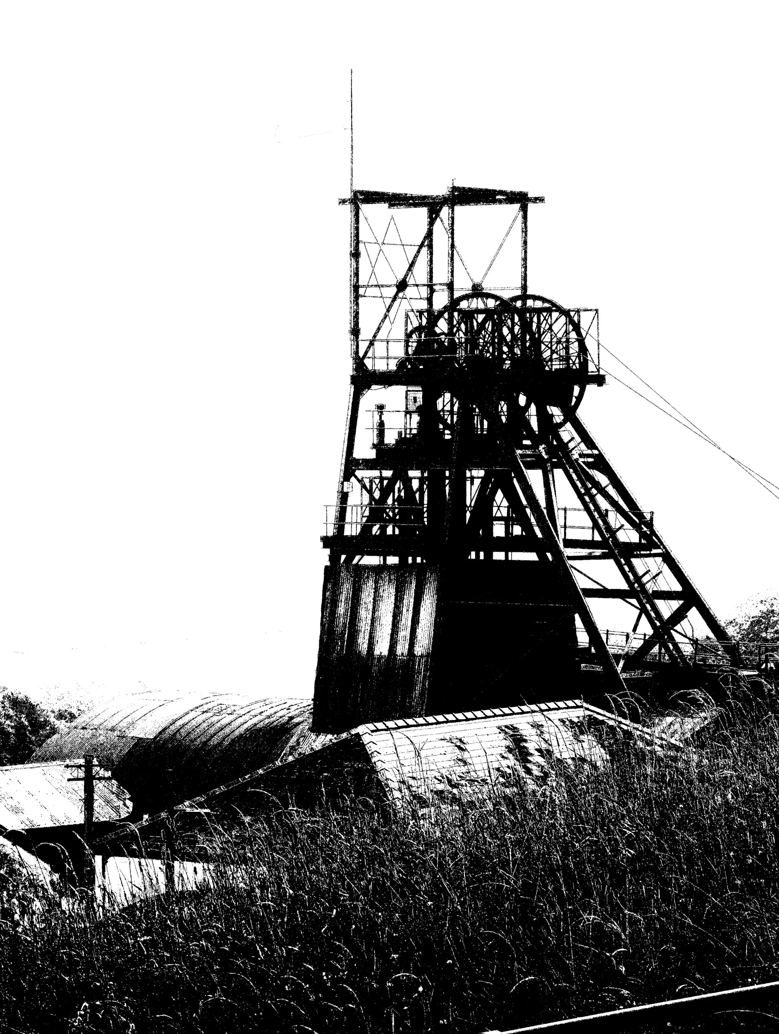 10-Filter-BW-DSCN0222.jpg