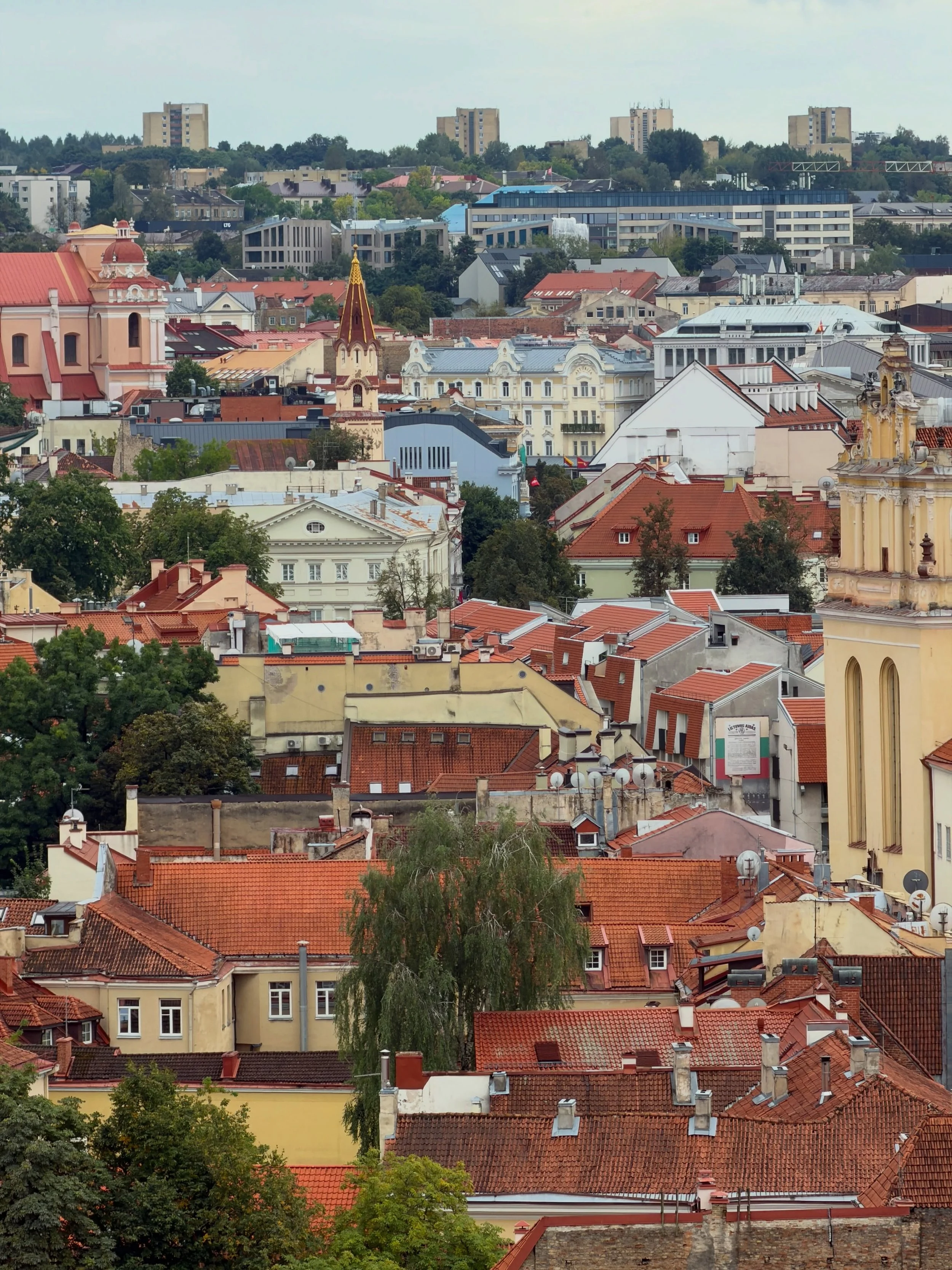 a weekend in vilnius 🐺🧄🪾
