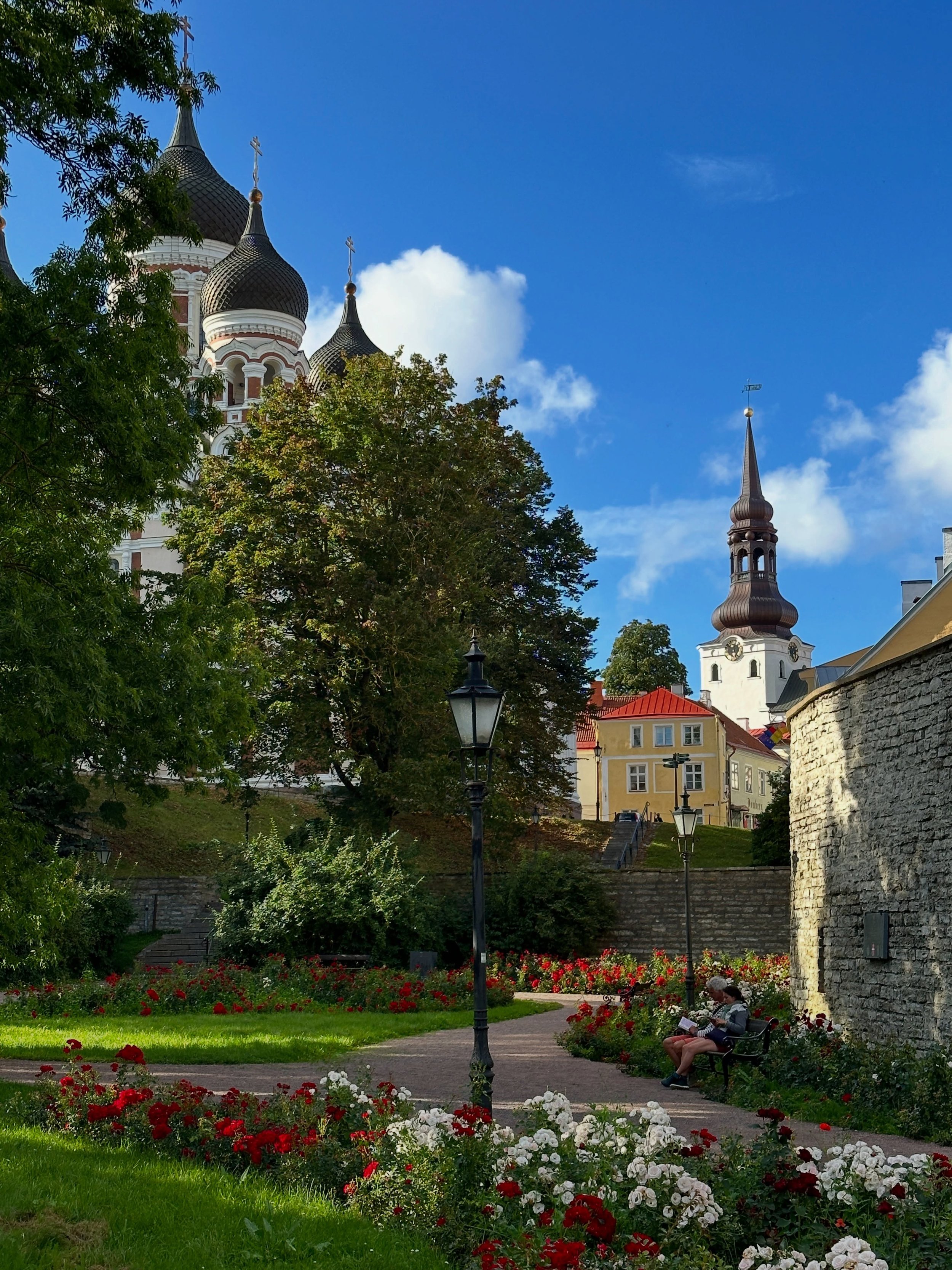 some of the things i saw in tallinn a few weeks ago 🌳🍎🎃🍝☔️