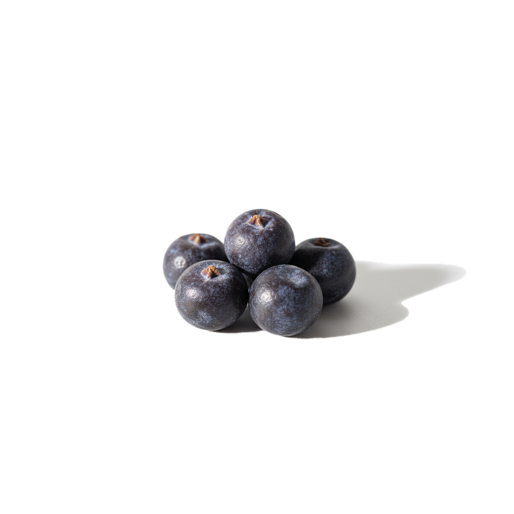 Gavie_Ingredients_juniper.png