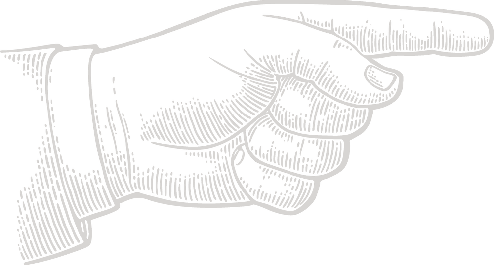 how-to-the-new-forest-food-festival-hampshire-new-forest-food