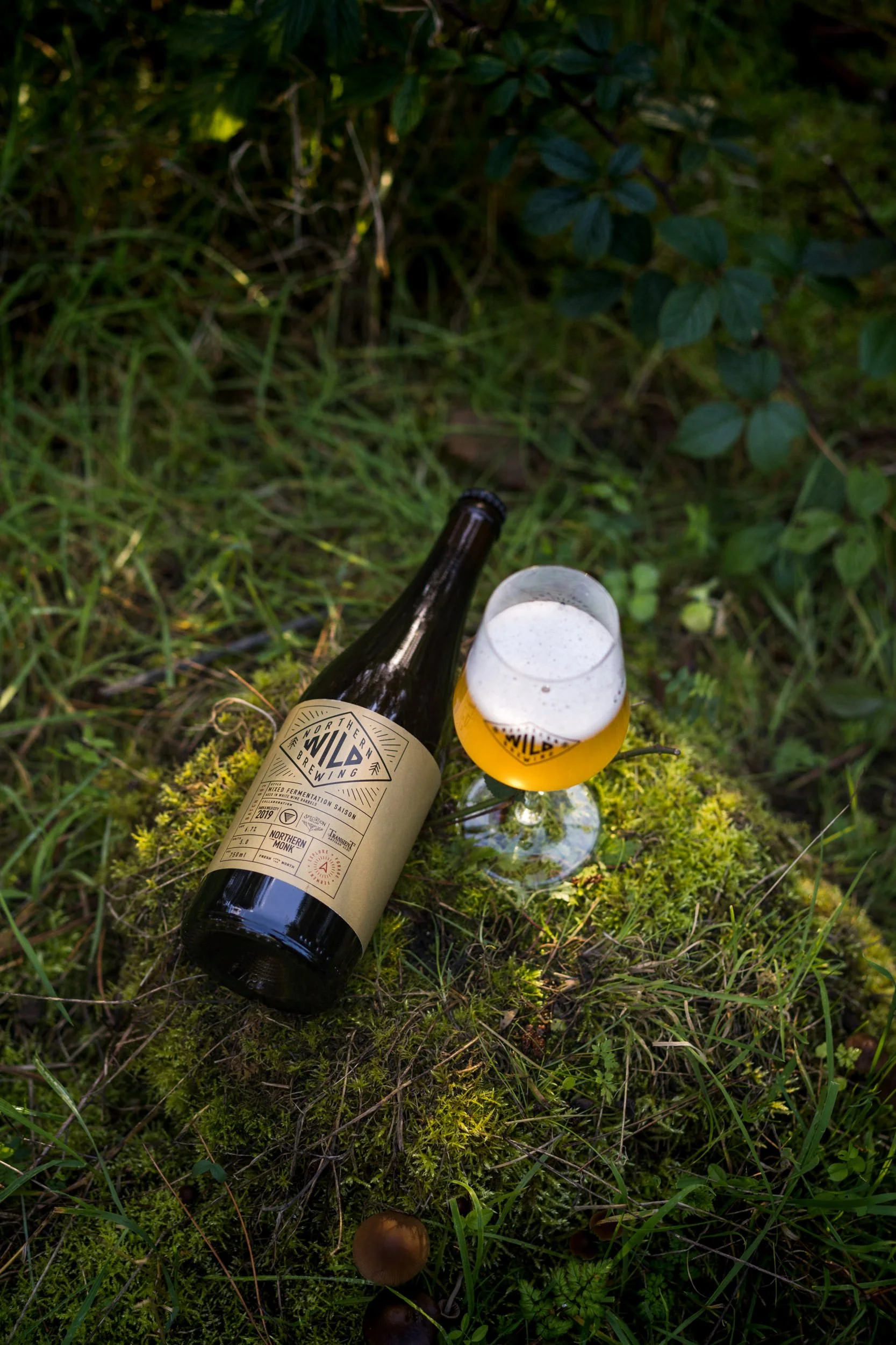 Northern Monk Wild woodland shot