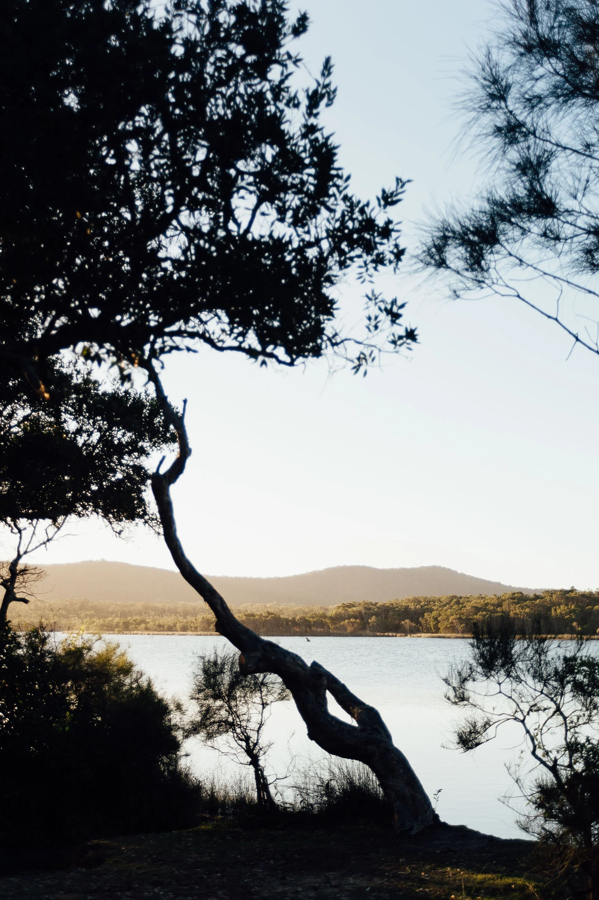 Lake Arragan, in Yuraygir National Park, close by Boketto Brooms Head.