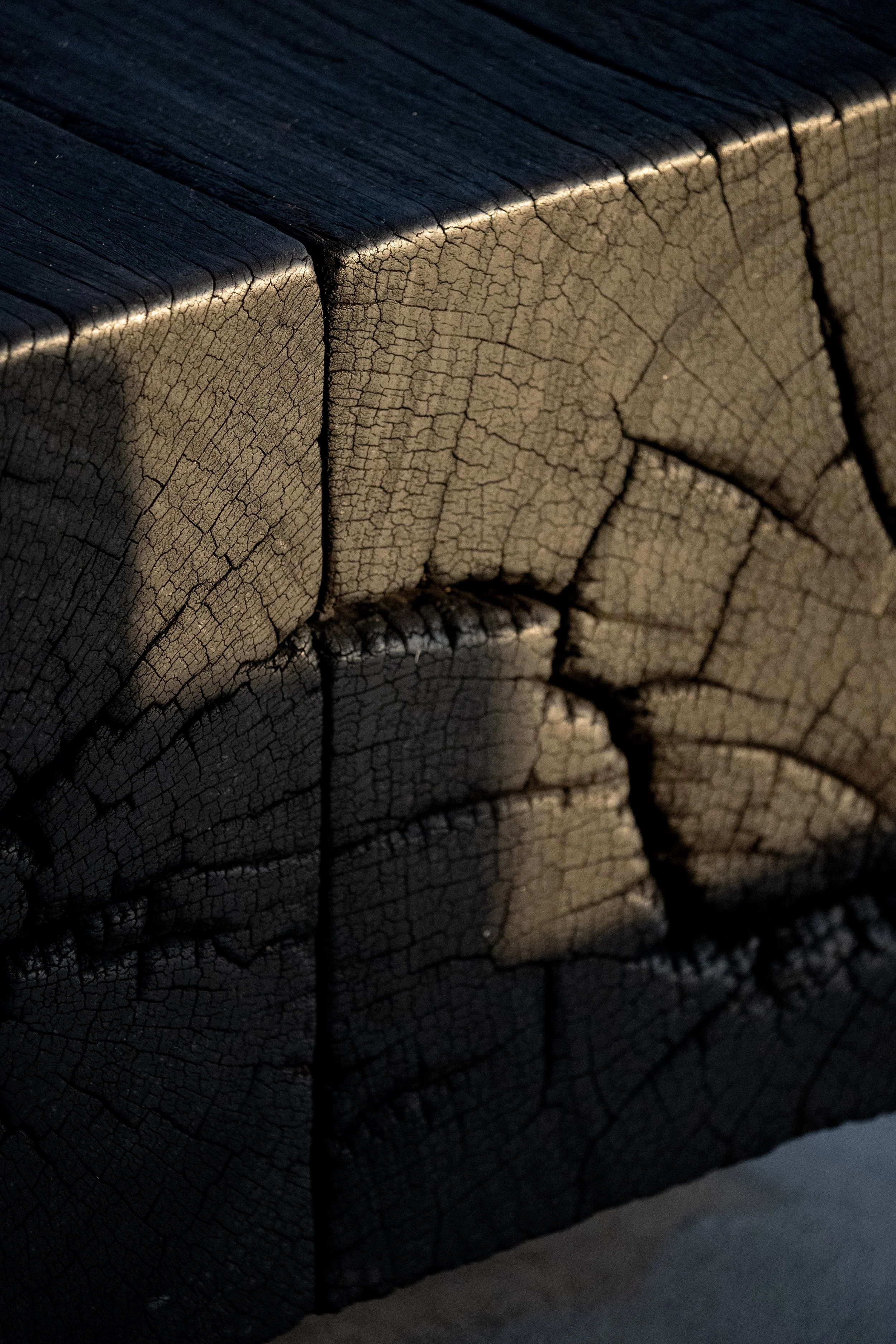 Close-up of a dried, cracked blackened piece of wood or bark, showing detailed network of cracks and textures.