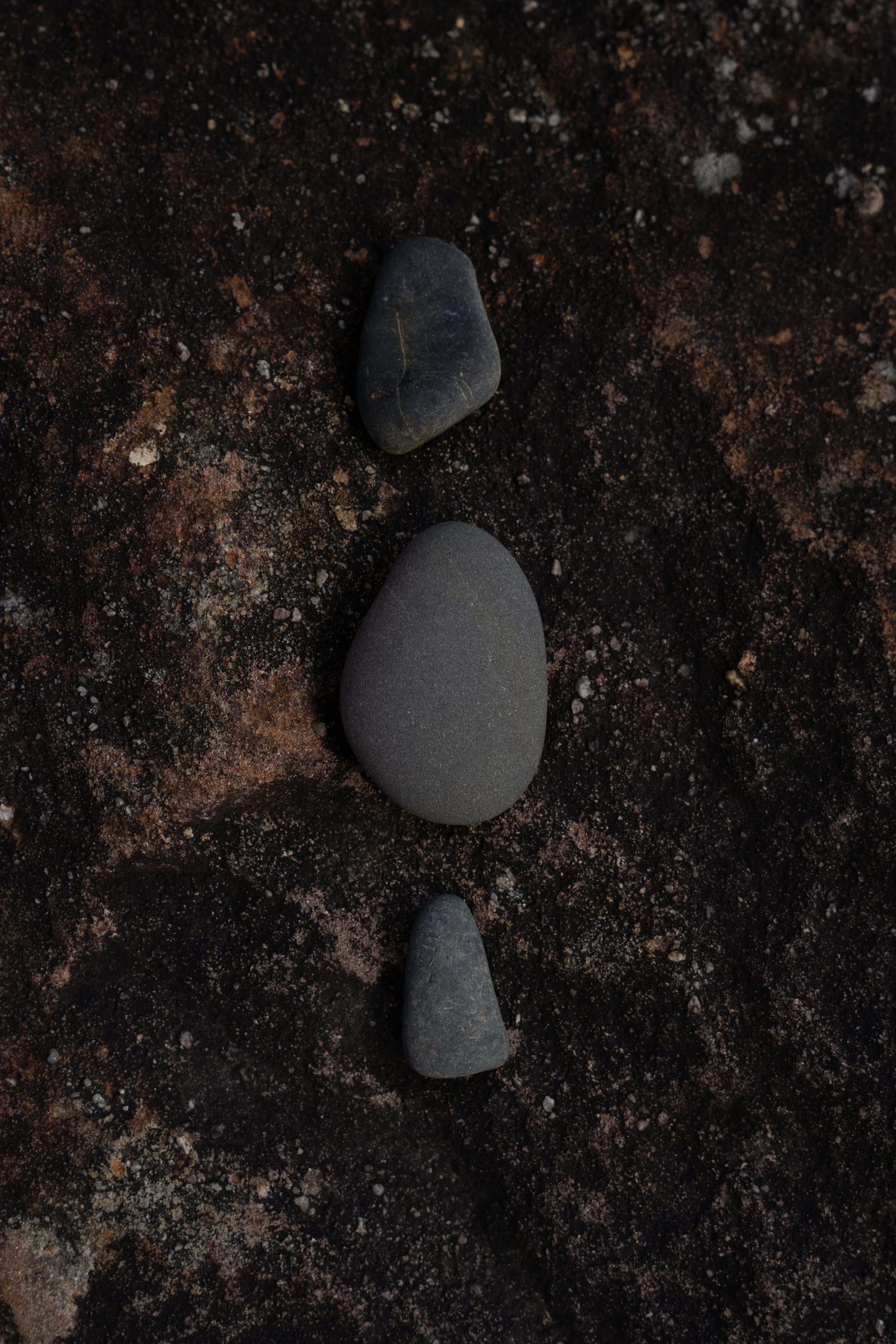 Three stones on dark, sandy ground with small rocks and grains.