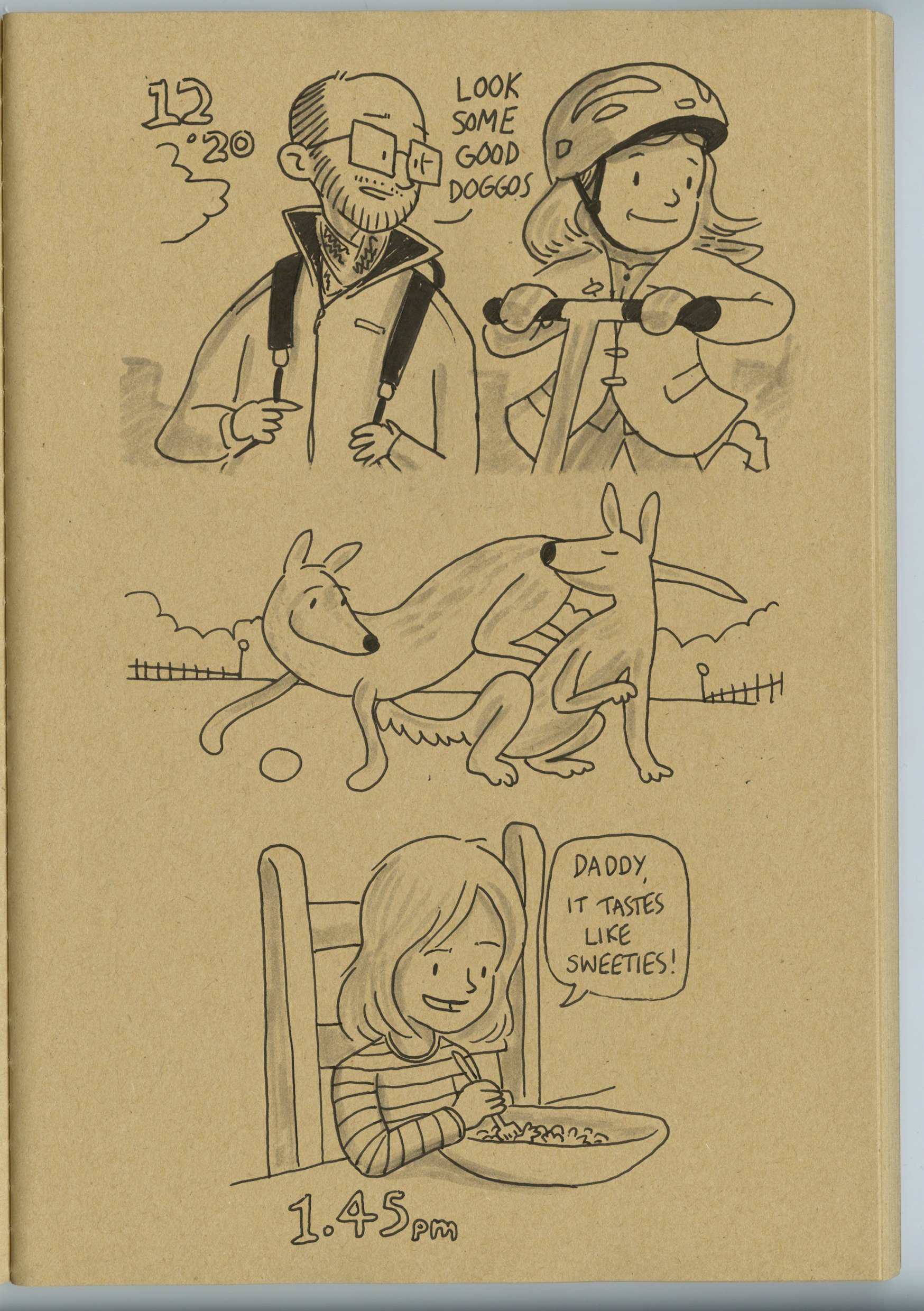 Hourlies Digital Collection3.jpg