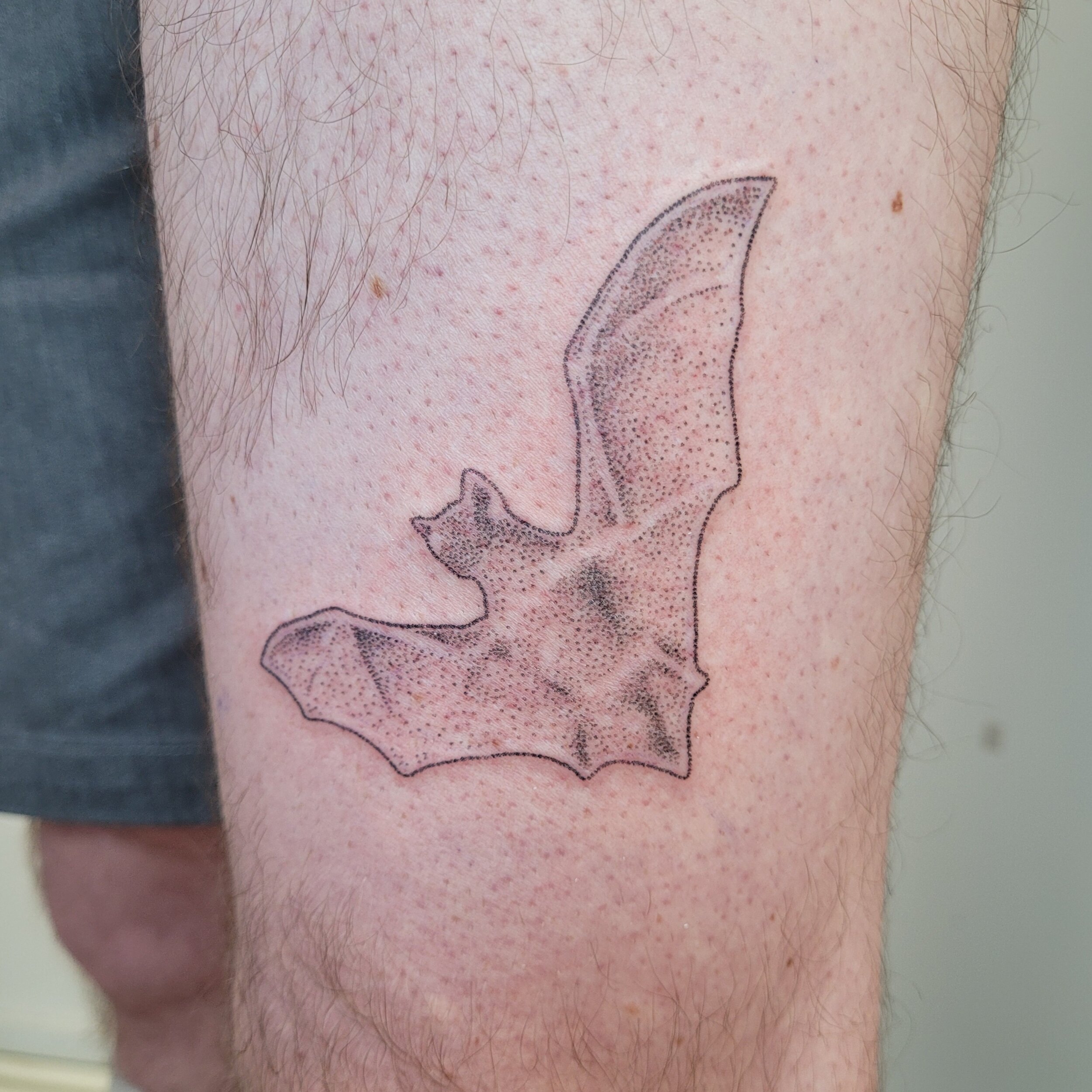 bat tat.jpeg