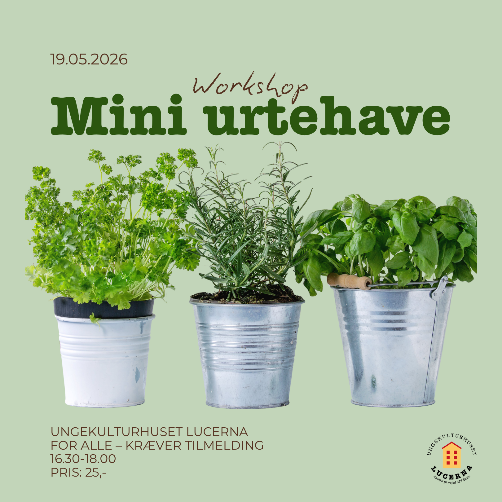 Workshop: mini urtehave