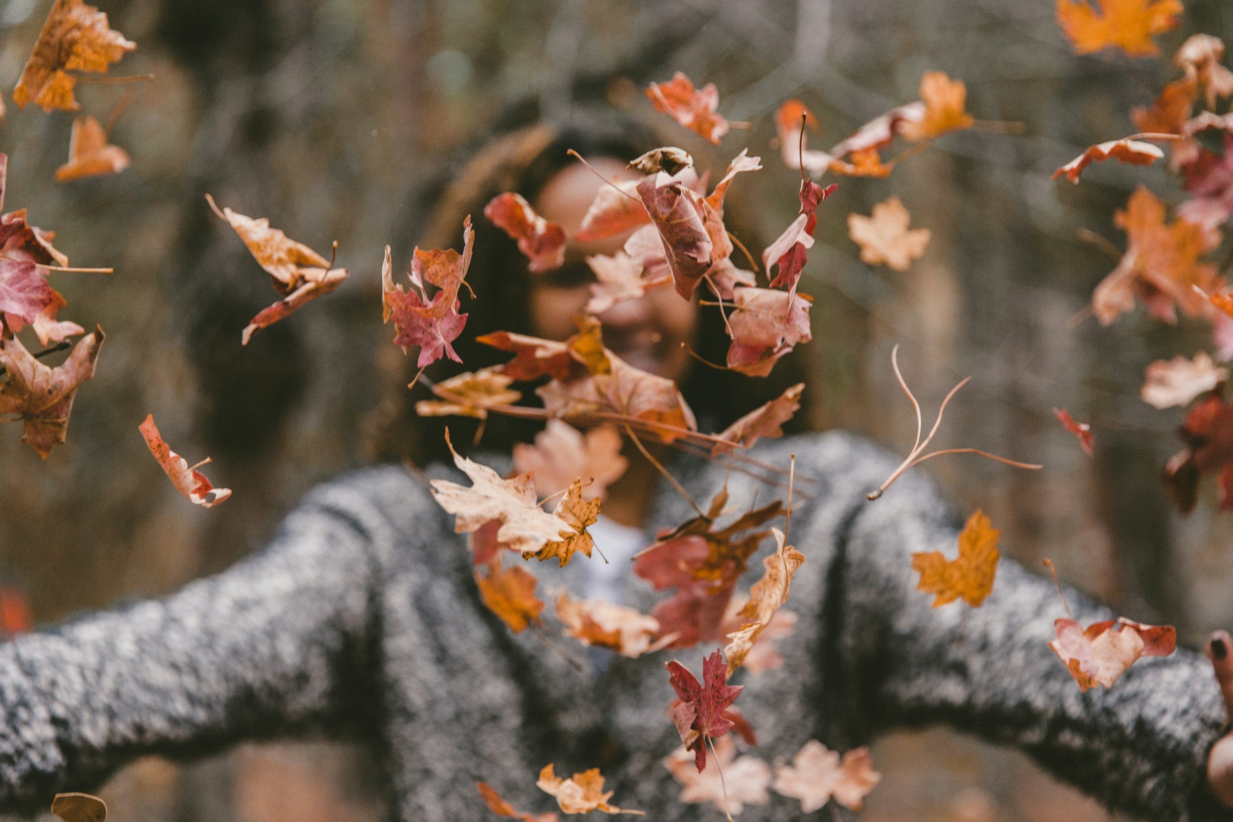 Autumn half term